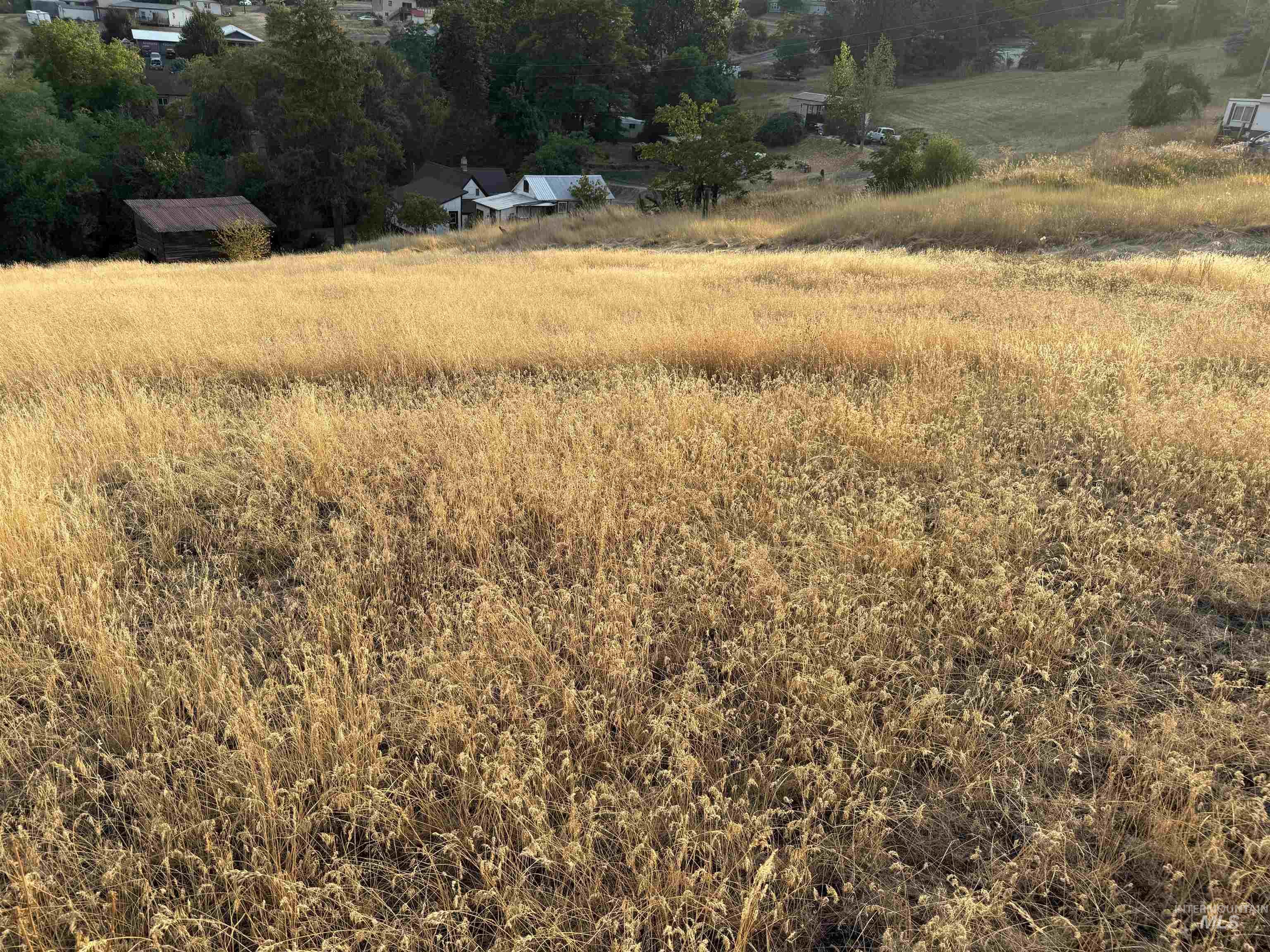 TBD McCall St, Juliaetta, Idaho 83535, Land For Sale, Price $149,900,MLS 98997373