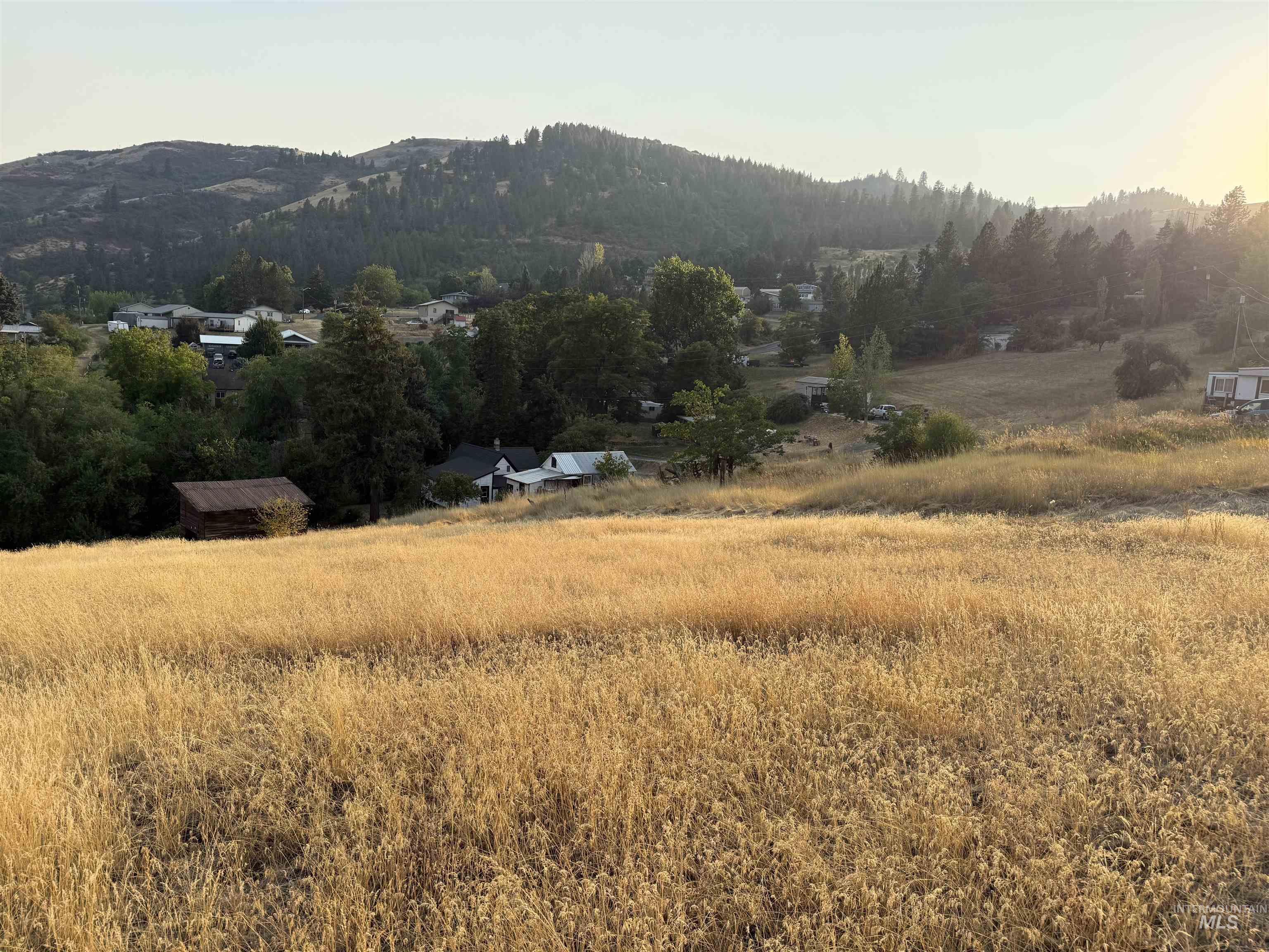 TBD McCall St, Juliaetta, Idaho 83535, Land For Sale, Price $149,900,MLS 98997373