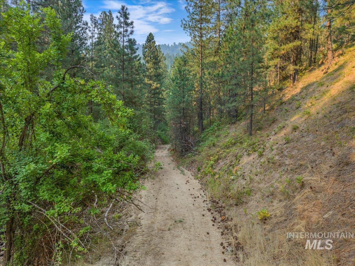 TBD Robie Creek Rd, Boise, Idaho 83716, Land For Sale, Price $898,700, 98997388