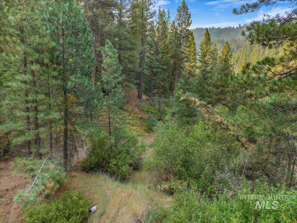 TBD Robie Creek Rd, Boise, Idaho 83716, Land For Sale, Price $898,700, 98997388