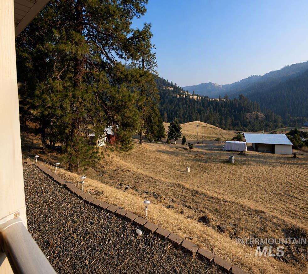 41167 Little Canyon Road, Peck, Idaho 83545, 2 Bedrooms, 2 Bathrooms, Residential For Sale, Price $525,000,MLS 98997392