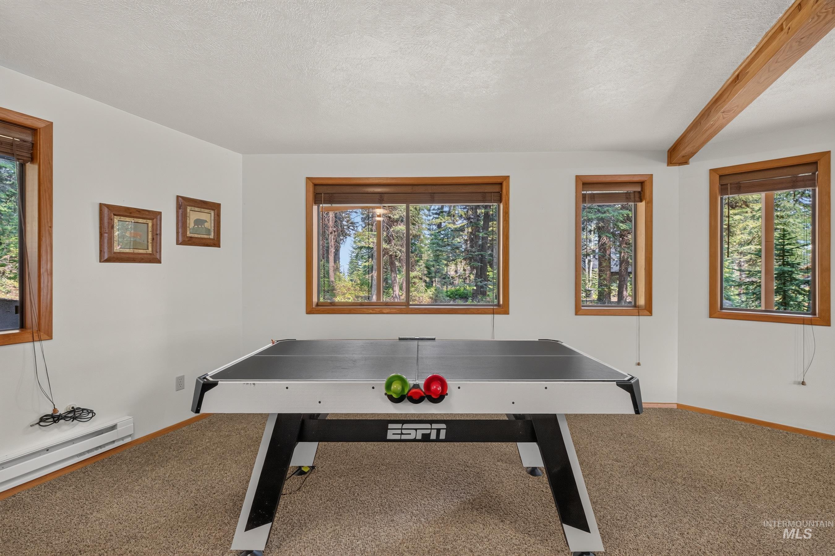 1050 Shady Lane Loop, McCall, Idaho 83638, 3 Bedrooms, 3 Bathrooms, Residential For Sale, Price $2,189,000, 98997434