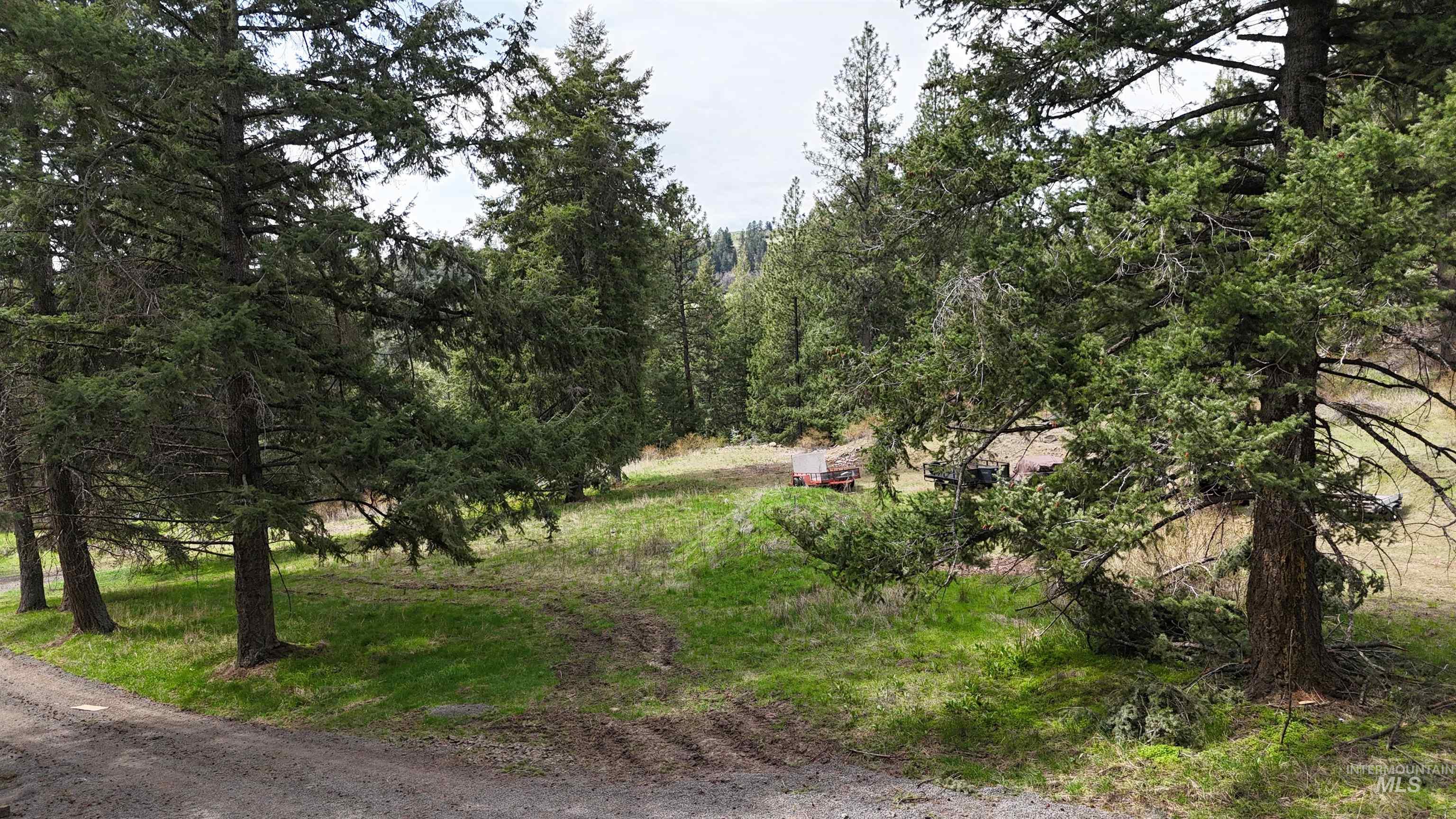TBD Rocky Point Lane, Grangeville, Idaho 83530, Land For Sale, Price $139,000,MLS 98997481