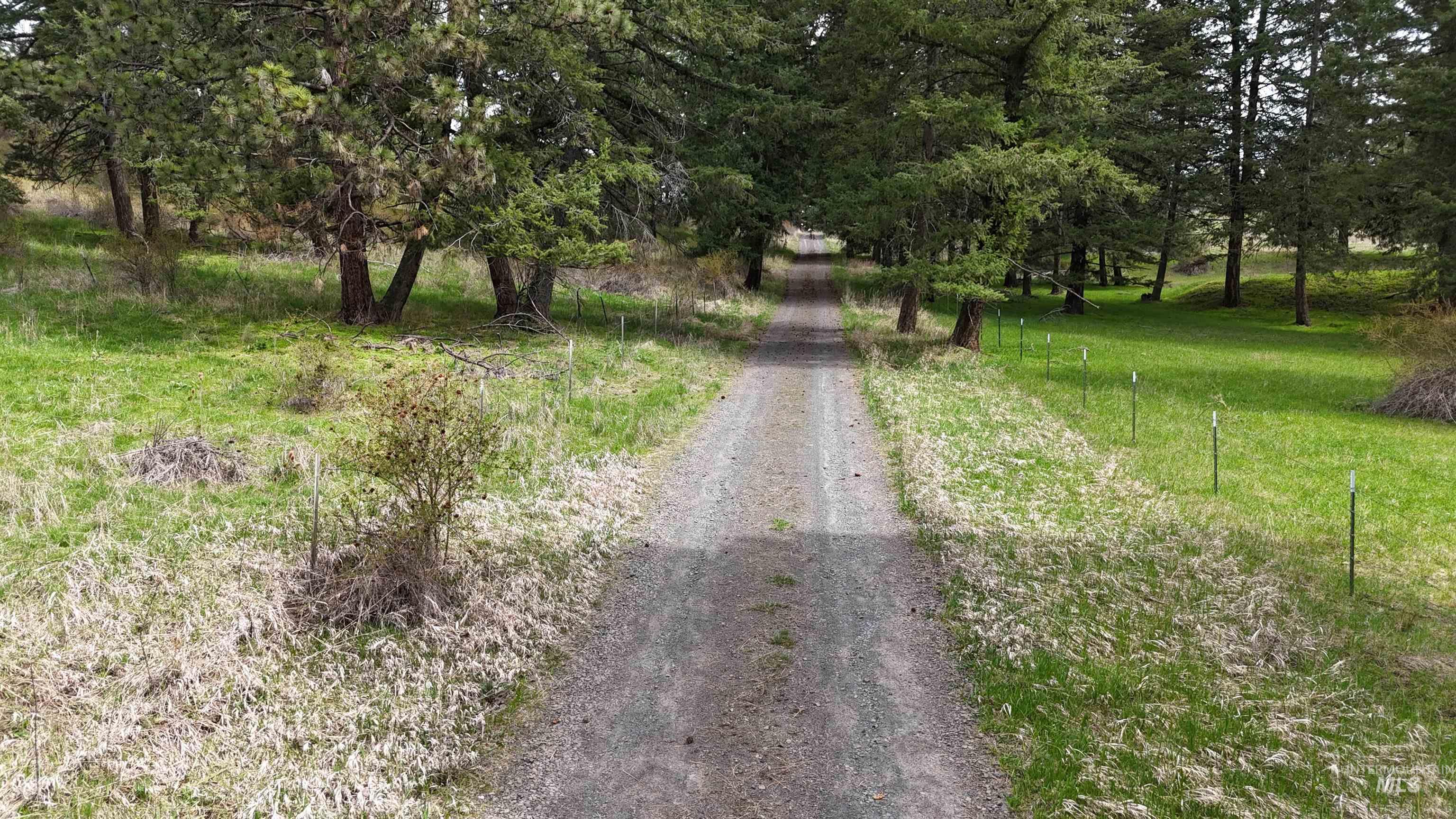 TBD Rocky Point Lane, Grangeville, Idaho 83530, Land For Sale, Price $139,000,MLS 98997481