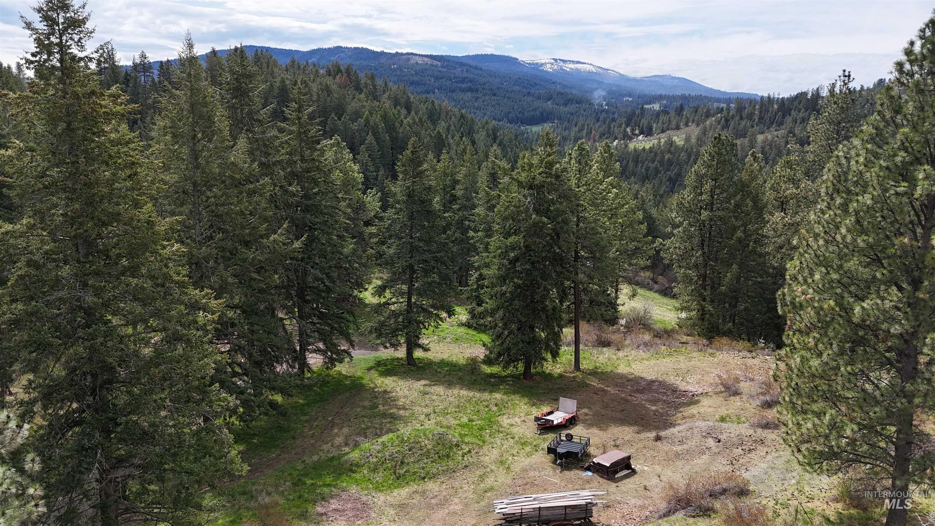 TBD Rocky Point Lane, Grangeville, Idaho 83530, Land For Sale, Price $139,000,MLS 98997481