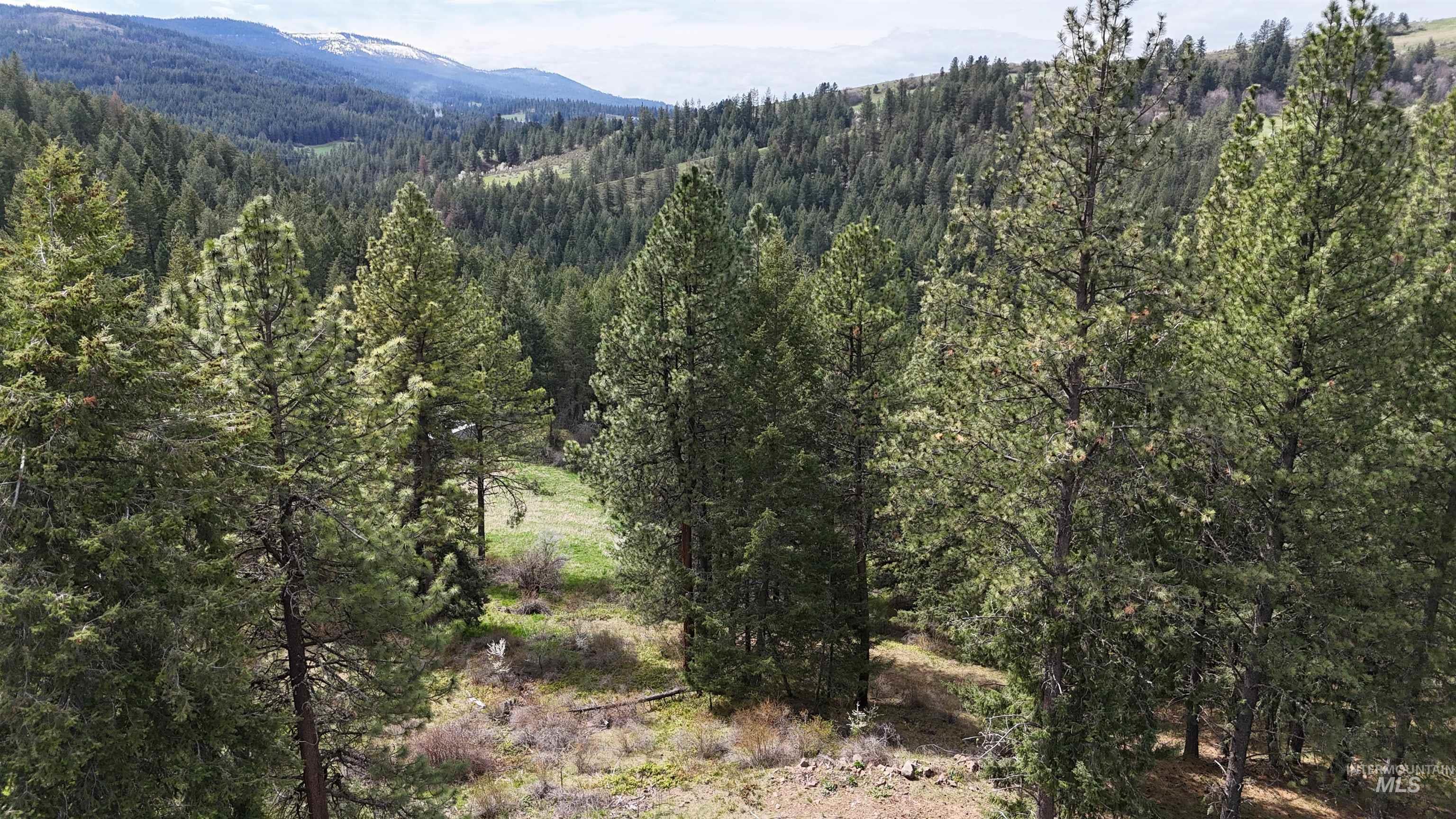 TBD Rocky Point Lane, Grangeville, Idaho 83530, Land For Sale, Price $139,000,MLS 98997481