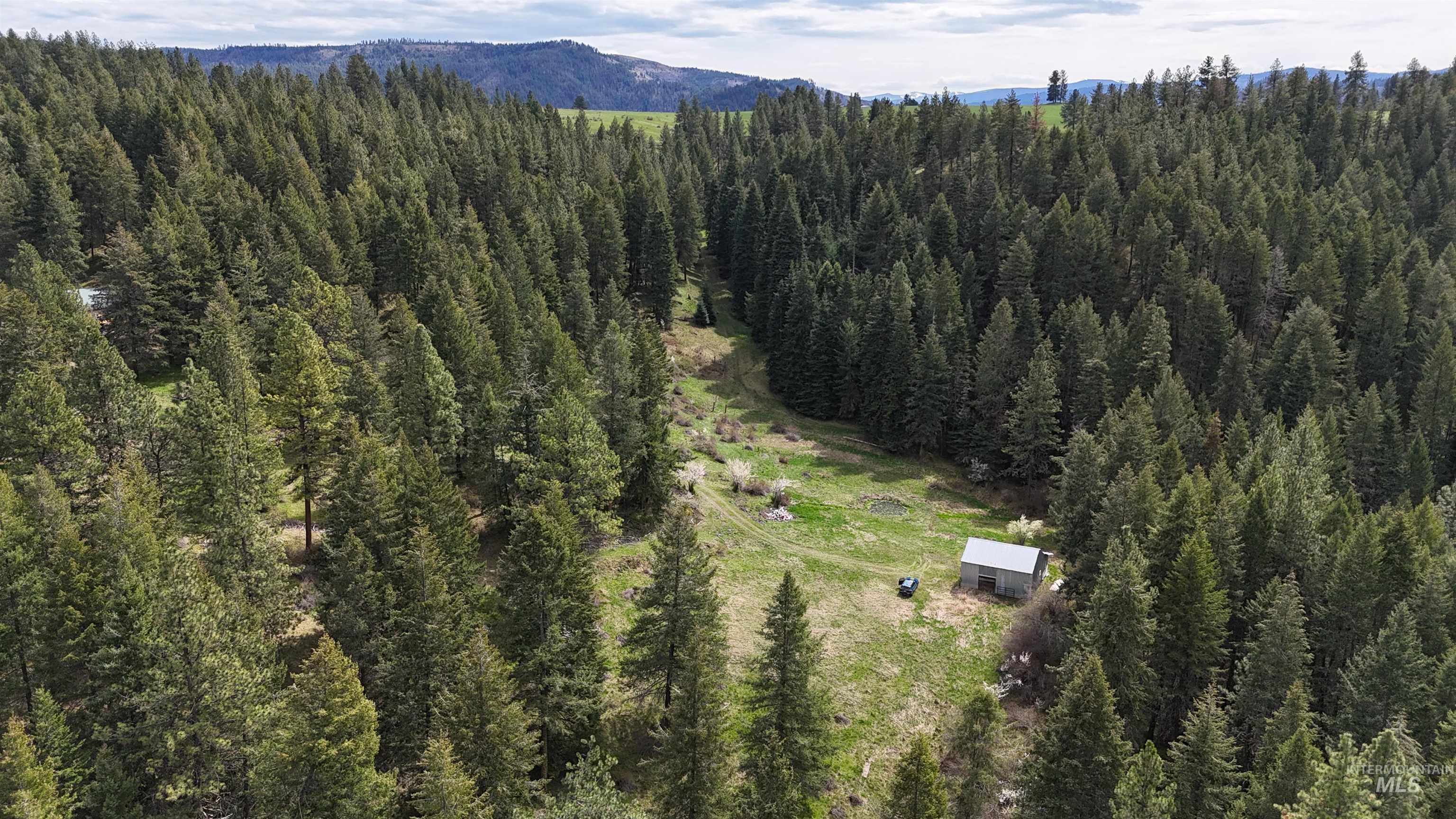 TBD Rocky Point Lane, Grangeville, Idaho 83530, Land For Sale, Price $139,000,MLS 98997481