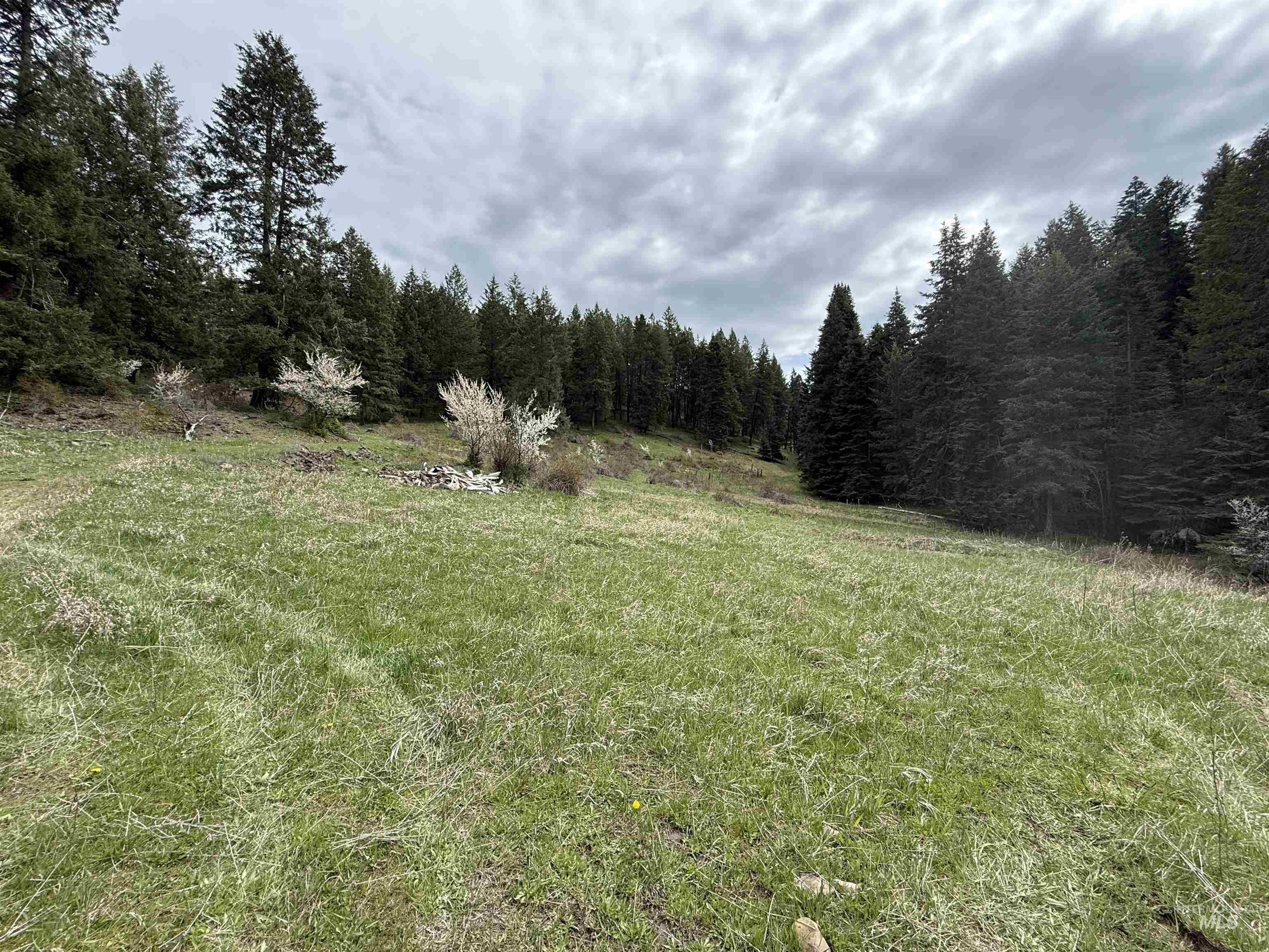 TBD Rocky Point Lane, Grangeville, Idaho 83530, Land For Sale, Price $139,000,MLS 98997481