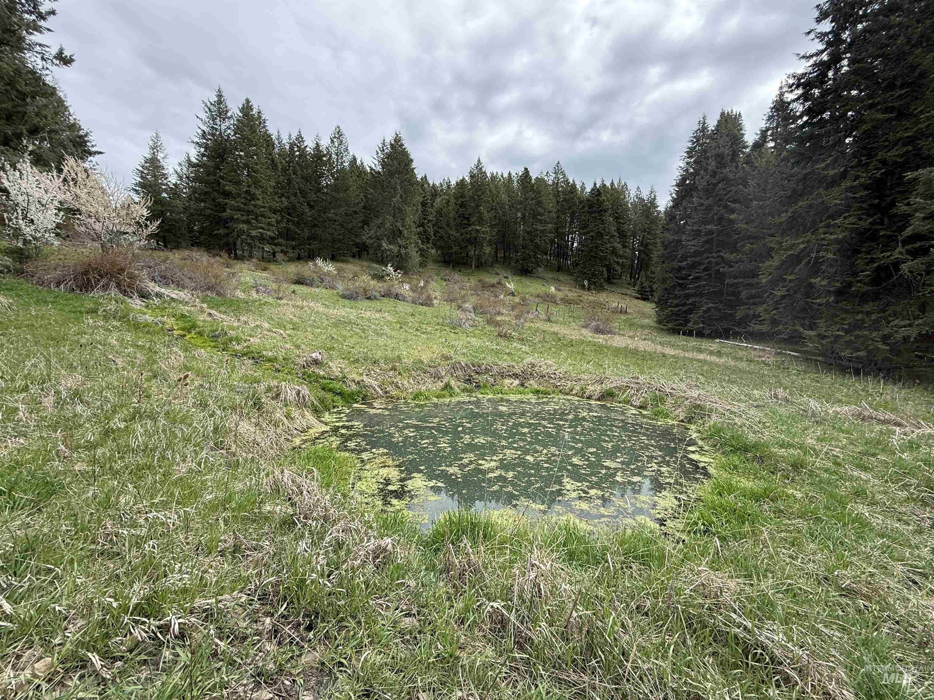 TBD Rocky Point Lane, Grangeville, Idaho 83530, Land For Sale, Price $139,000,MLS 98997481