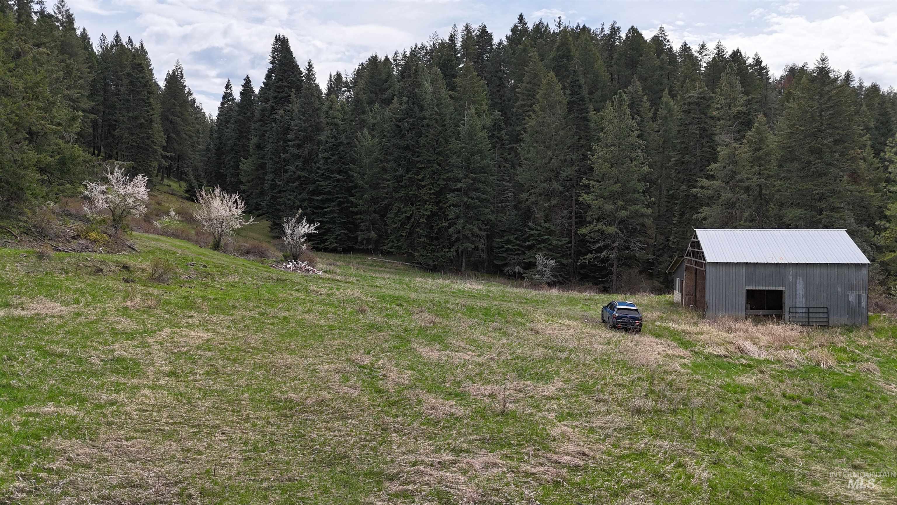 TBD Rocky Point Lane, Grangeville, Idaho 83530, Land For Sale, Price $139,000,MLS 98997481