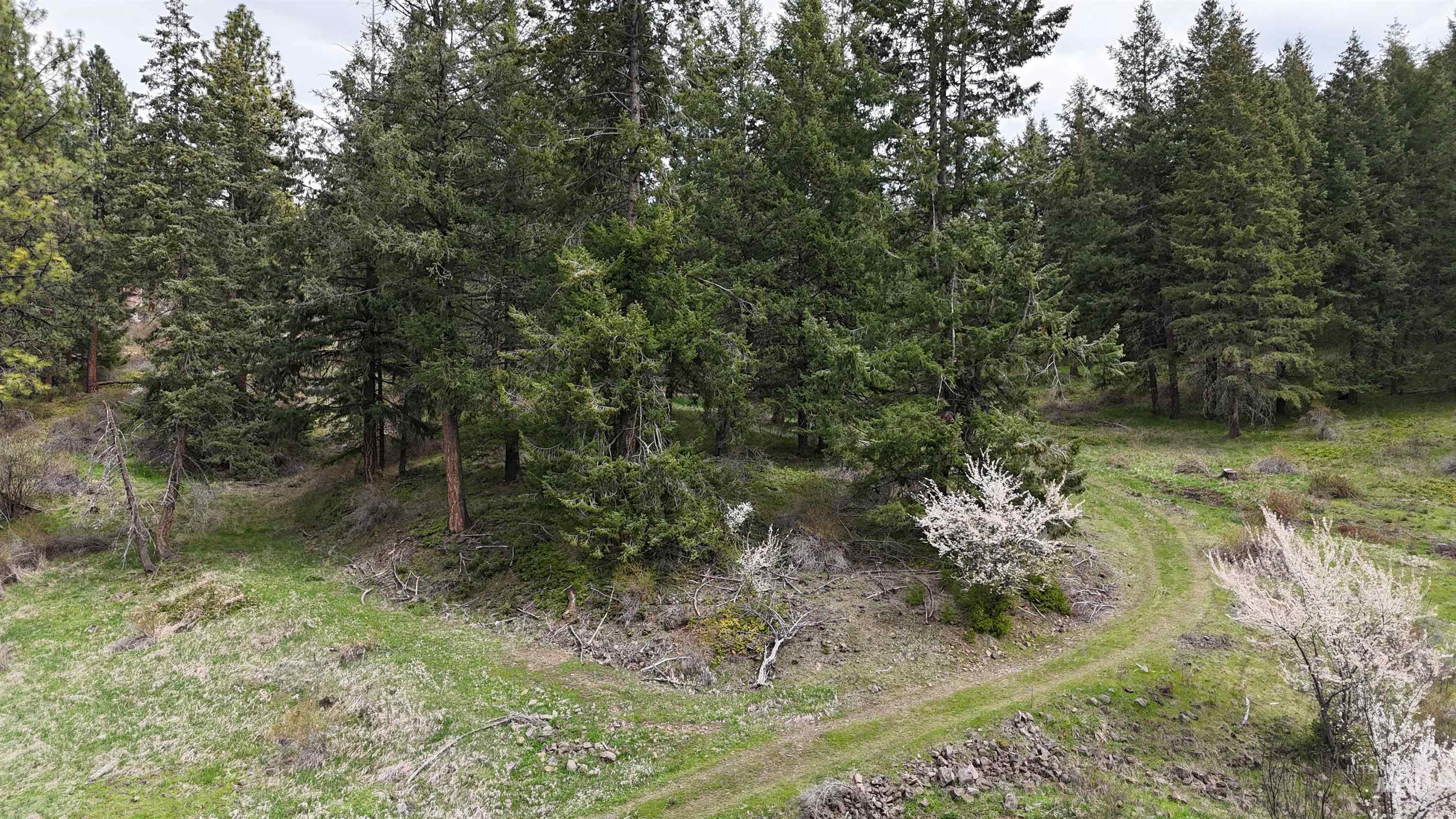 TBD Rocky Point Lane, Grangeville, Idaho 83530, Land For Sale, Price $139,000,MLS 98997481
