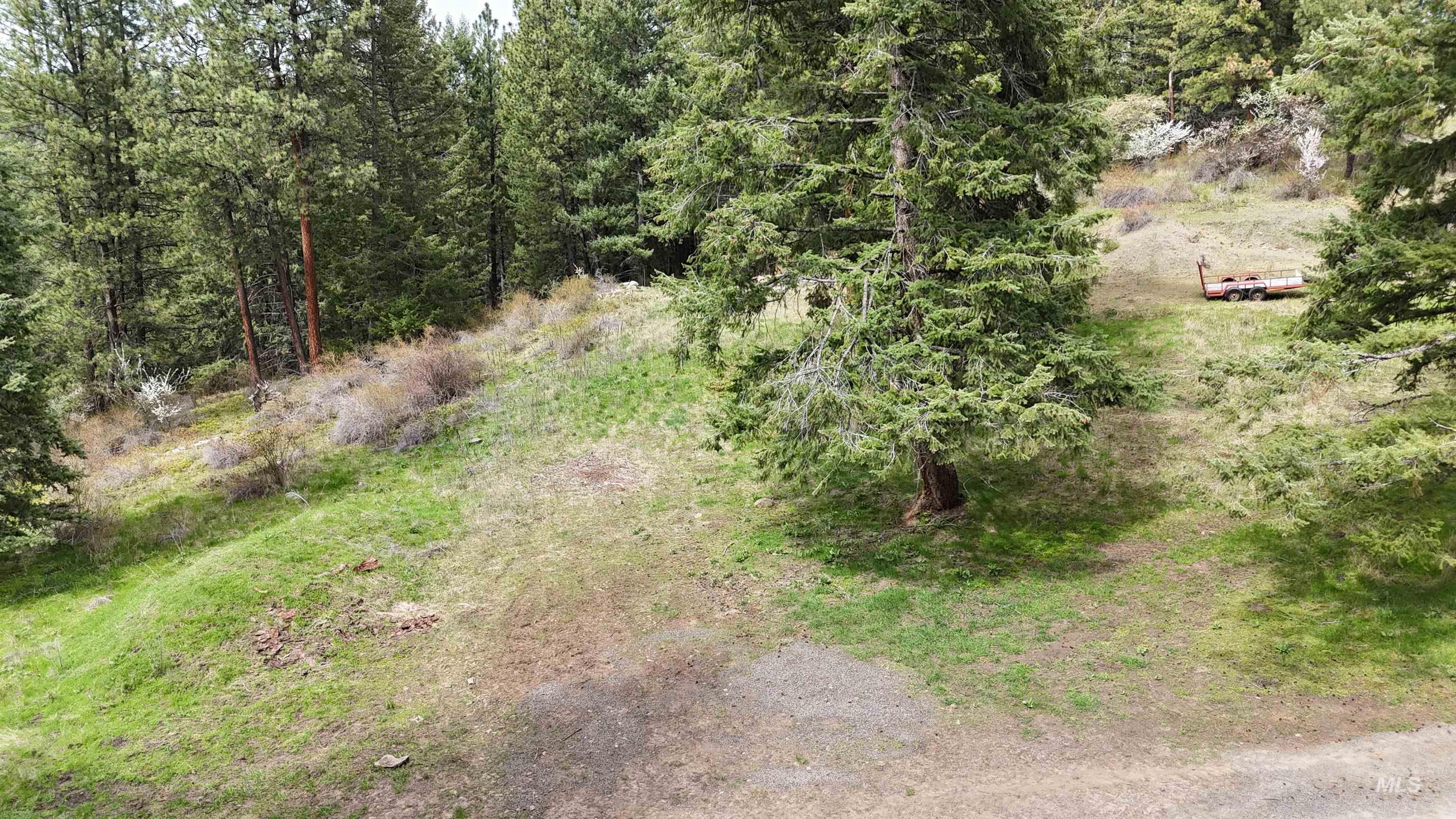 TBD Rocky Point Lane, Grangeville, Idaho 83530, Land For Sale, Price $139,000,MLS 98997481