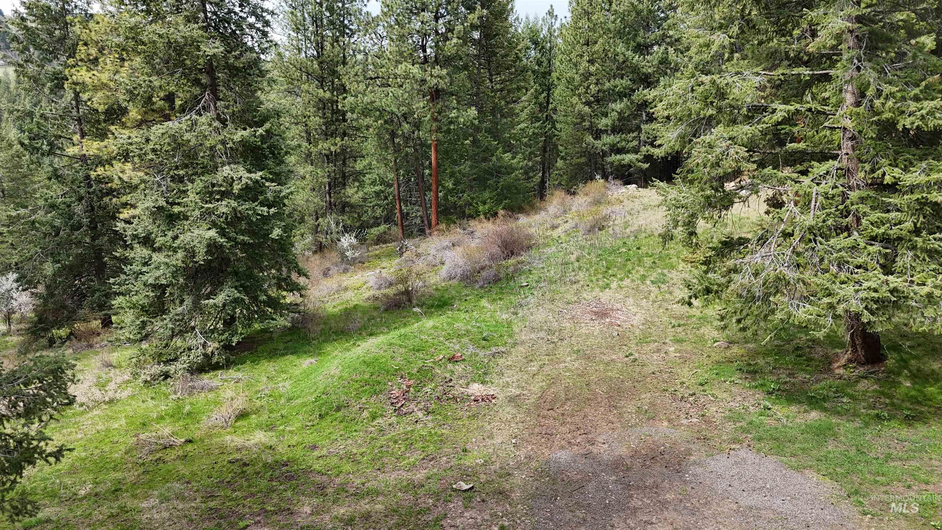 TBD Rocky Point Lane, Grangeville, Idaho 83530, Land For Sale, Price $139,000,MLS 98997481