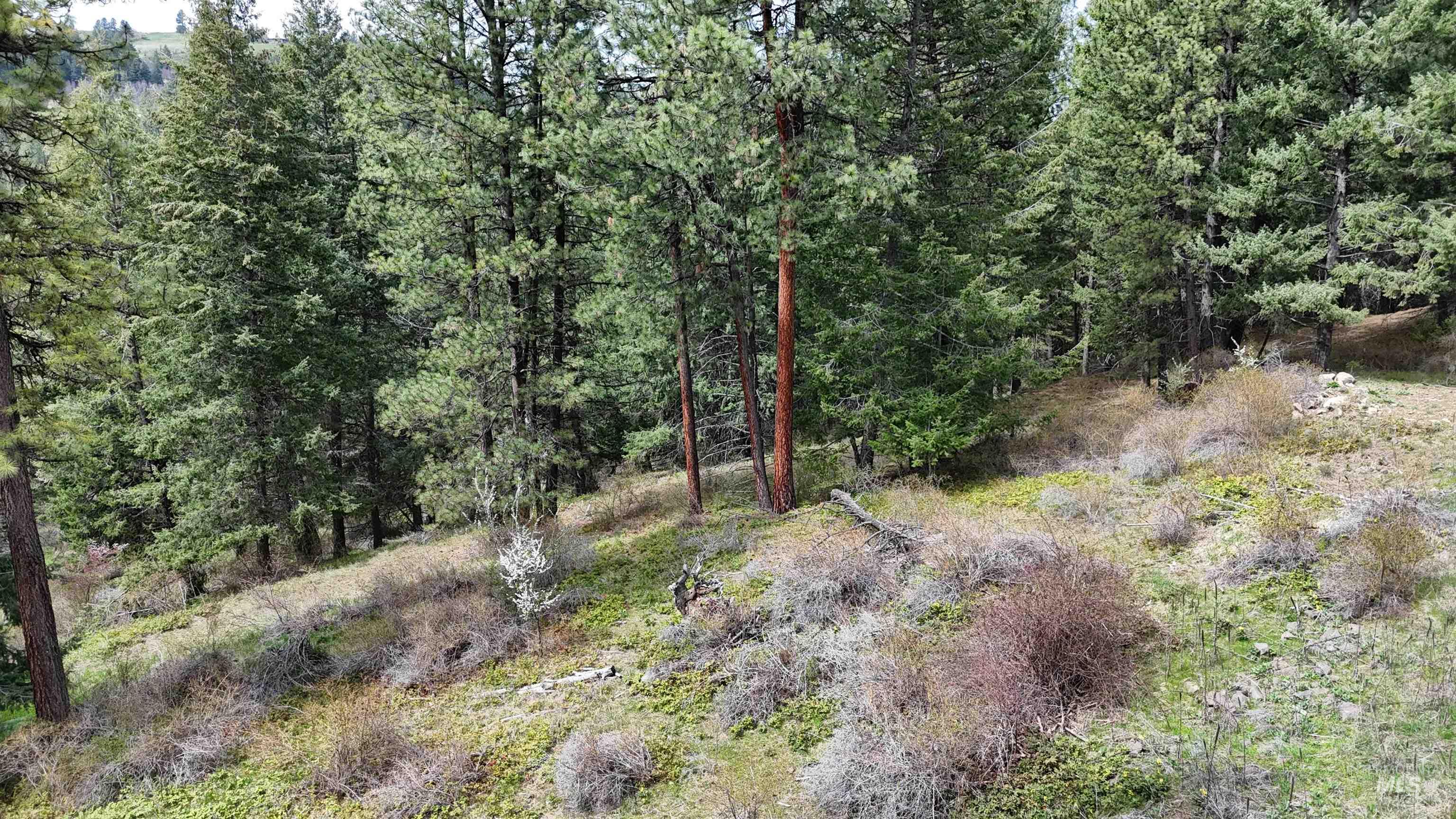 TBD Rocky Point Lane, Grangeville, Idaho 83530, Land For Sale, Price $139,000,MLS 98997481