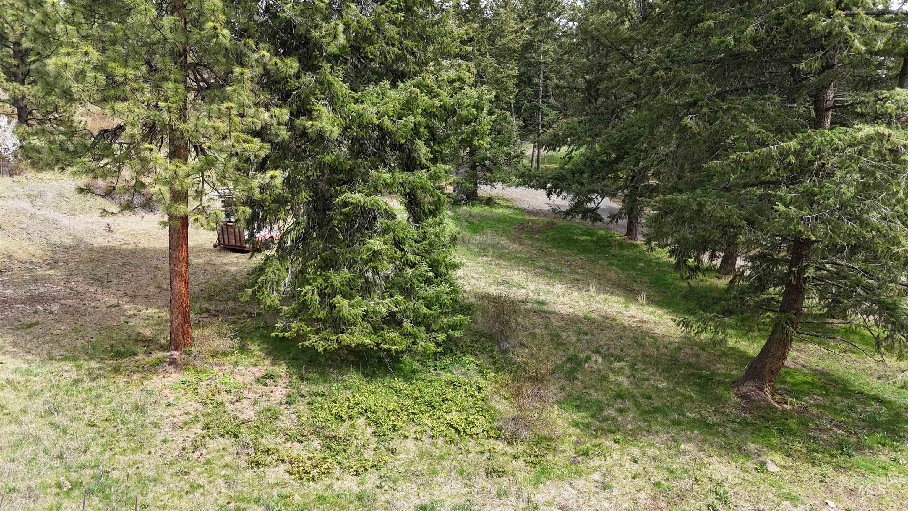 TBD Rocky Point Lane, Grangeville, Idaho 83530, Land For Sale, Price $139,000,MLS 98997481