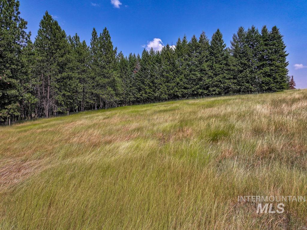 3851 Highway 8, Troy, Idaho 83871, 4 Bedrooms, 2 Bathrooms, Residential For Sale, Price $847,500, 98997541