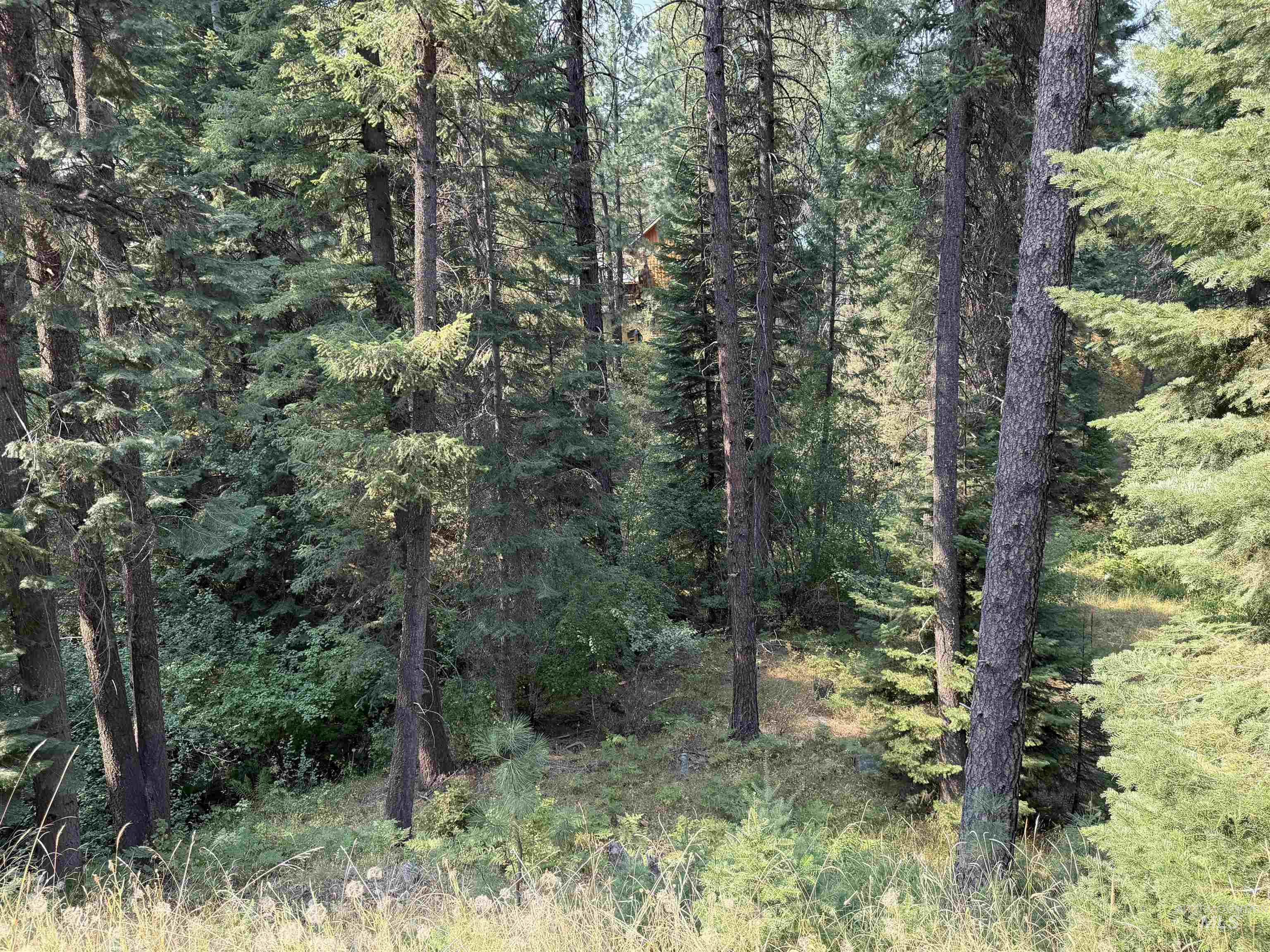 2 Snowbird Ln, Garden Valley, Idaho 83622, 3 Bedrooms, 2 Bathrooms, Residential For Sale, Price $424,000,MLS 98997569