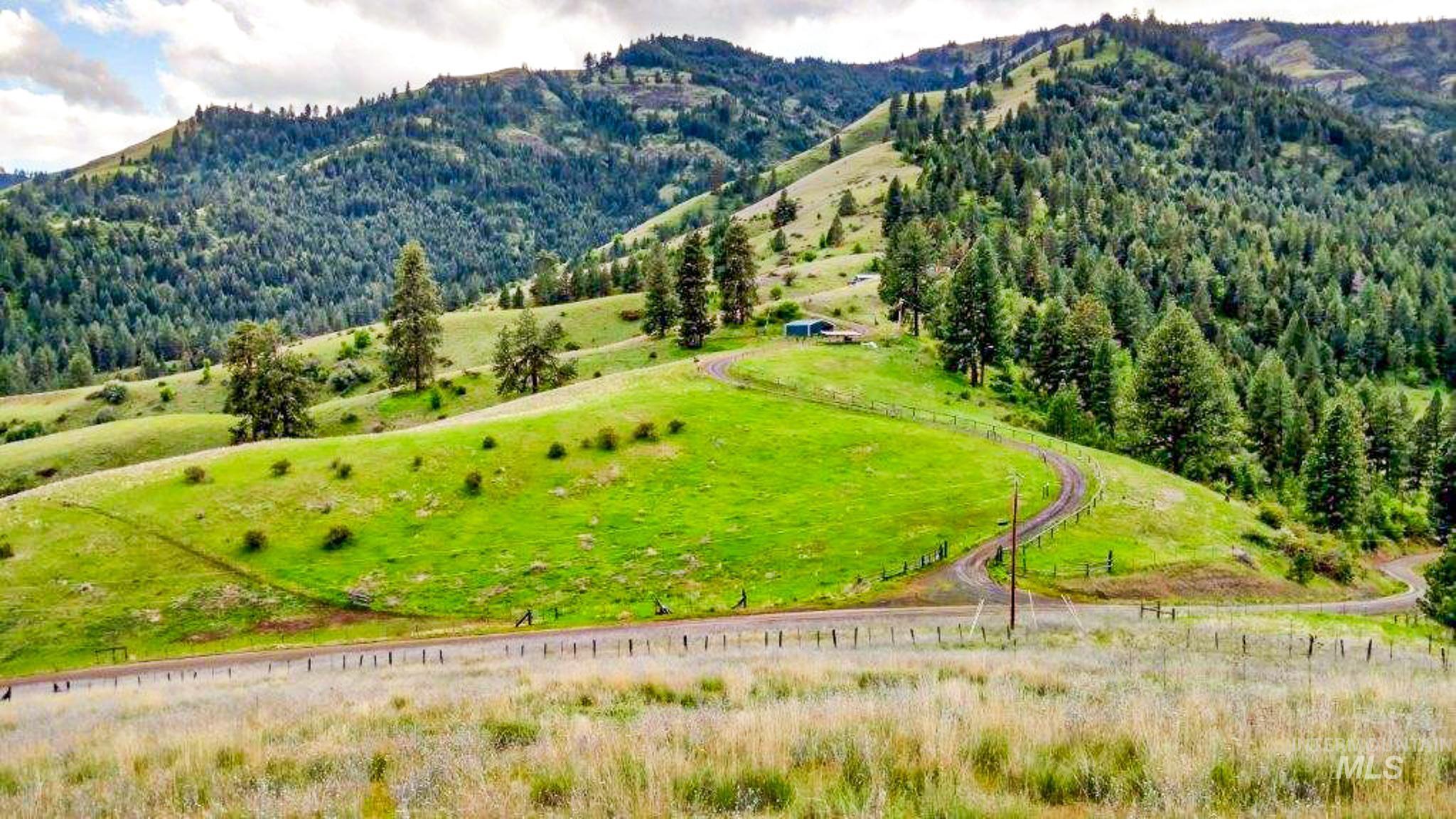 161 Saddle Ridge Road, White Bird, Idaho 83554, 3 Bedrooms, 2.5 Bathrooms, Residential For Sale, Price $545,000,MLS 98997808