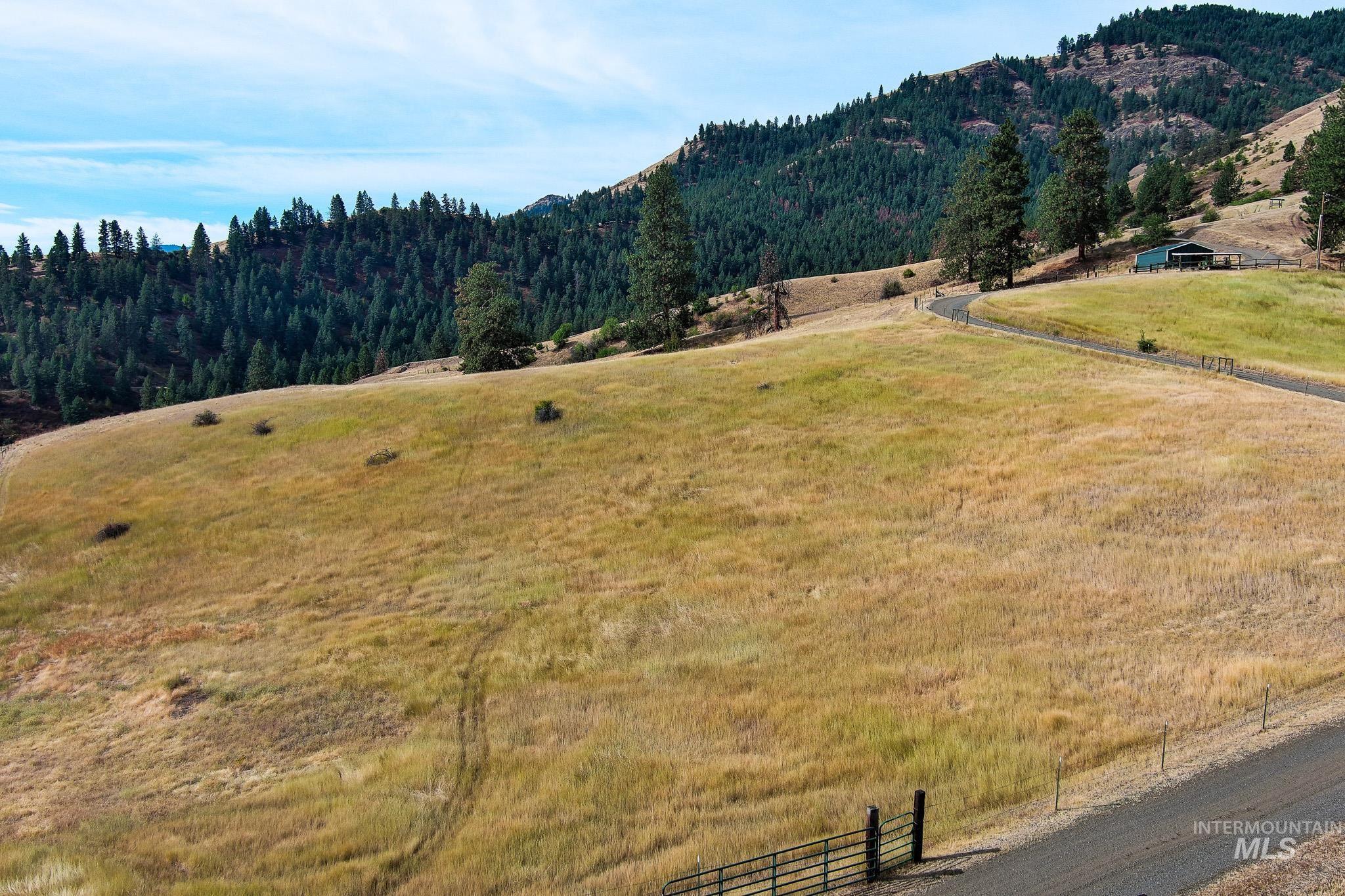 161 Saddle Ridge Road, White Bird, Idaho 83554, 3 Bedrooms, 2.5 Bathrooms, Residential For Sale, Price $545,000,MLS 98997808