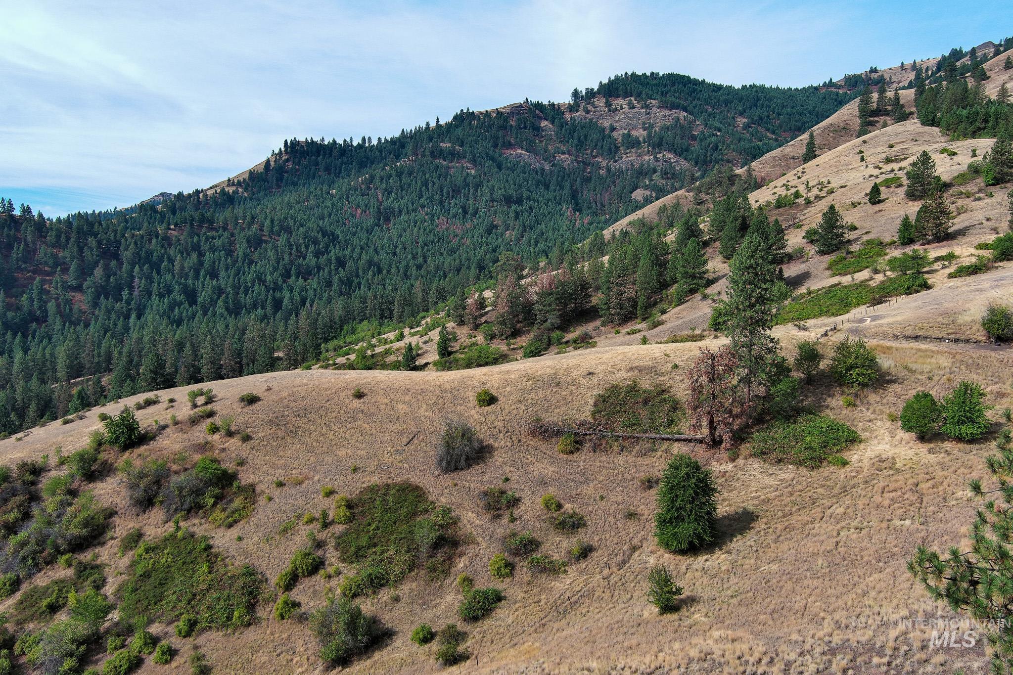 161 Saddle Ridge Road, White Bird, Idaho 83554, 3 Bedrooms, 2.5 Bathrooms, Residential For Sale, Price $545,000,MLS 98997808