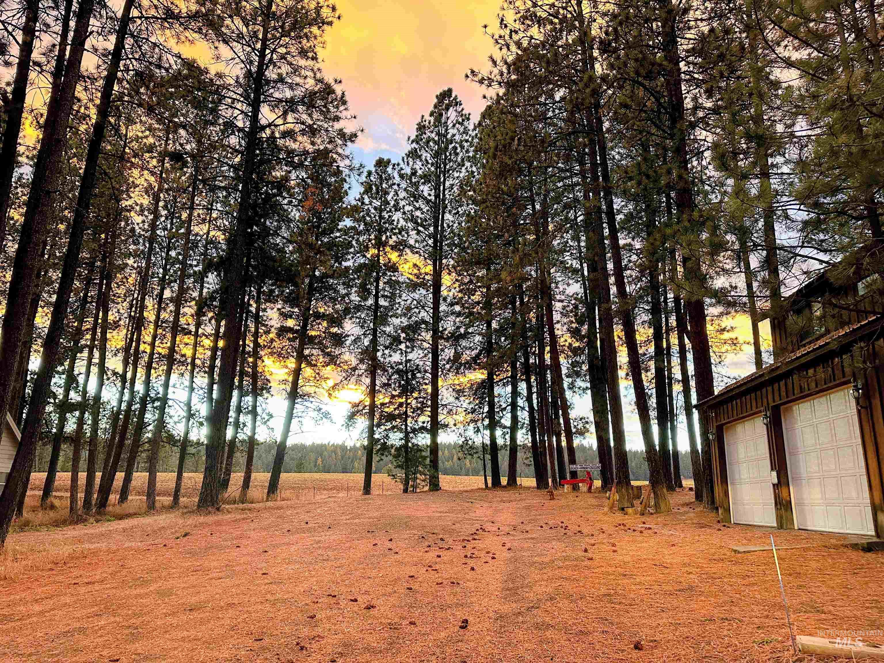 813 Camas St, Winchester, Idaho 83555, 4 Bedrooms, 3 Bathrooms, Residential For Sale, Price $479,000,MLS 98998018