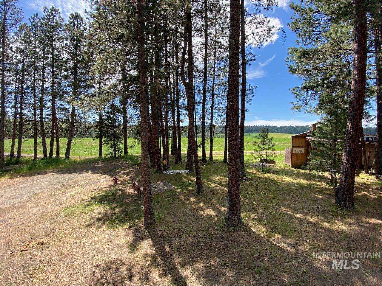 813 Camas St, Winchester, Idaho 83555, 4 Bedrooms, 3 Bathrooms, Residential For Sale, Price $479,000,MLS 98998018