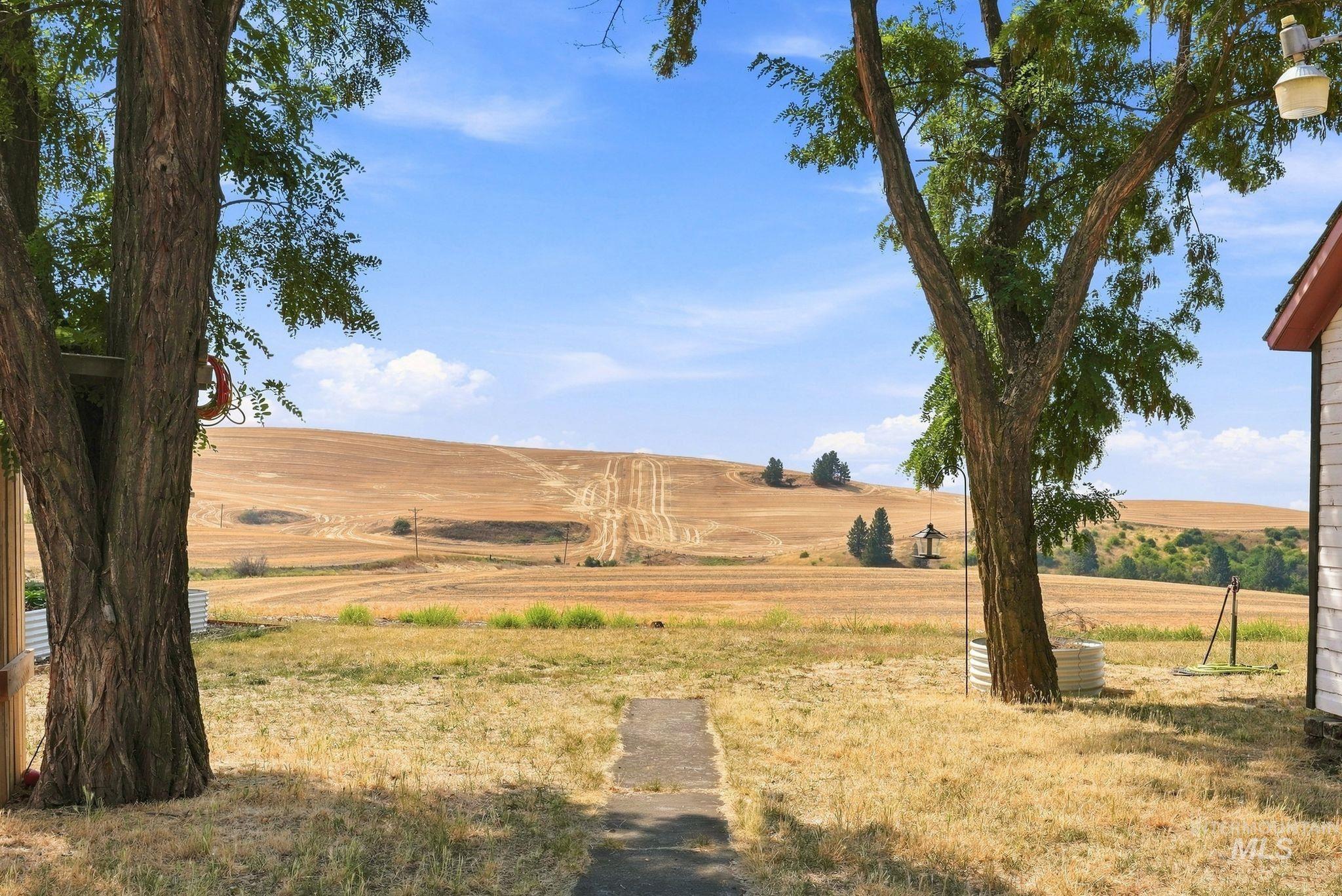 16078 Hoffman Road, Kendrick, Idaho 83537, 4 Bedrooms, 1 Bathroom, Residential For Sale, Price $565,000,MLS 98998092