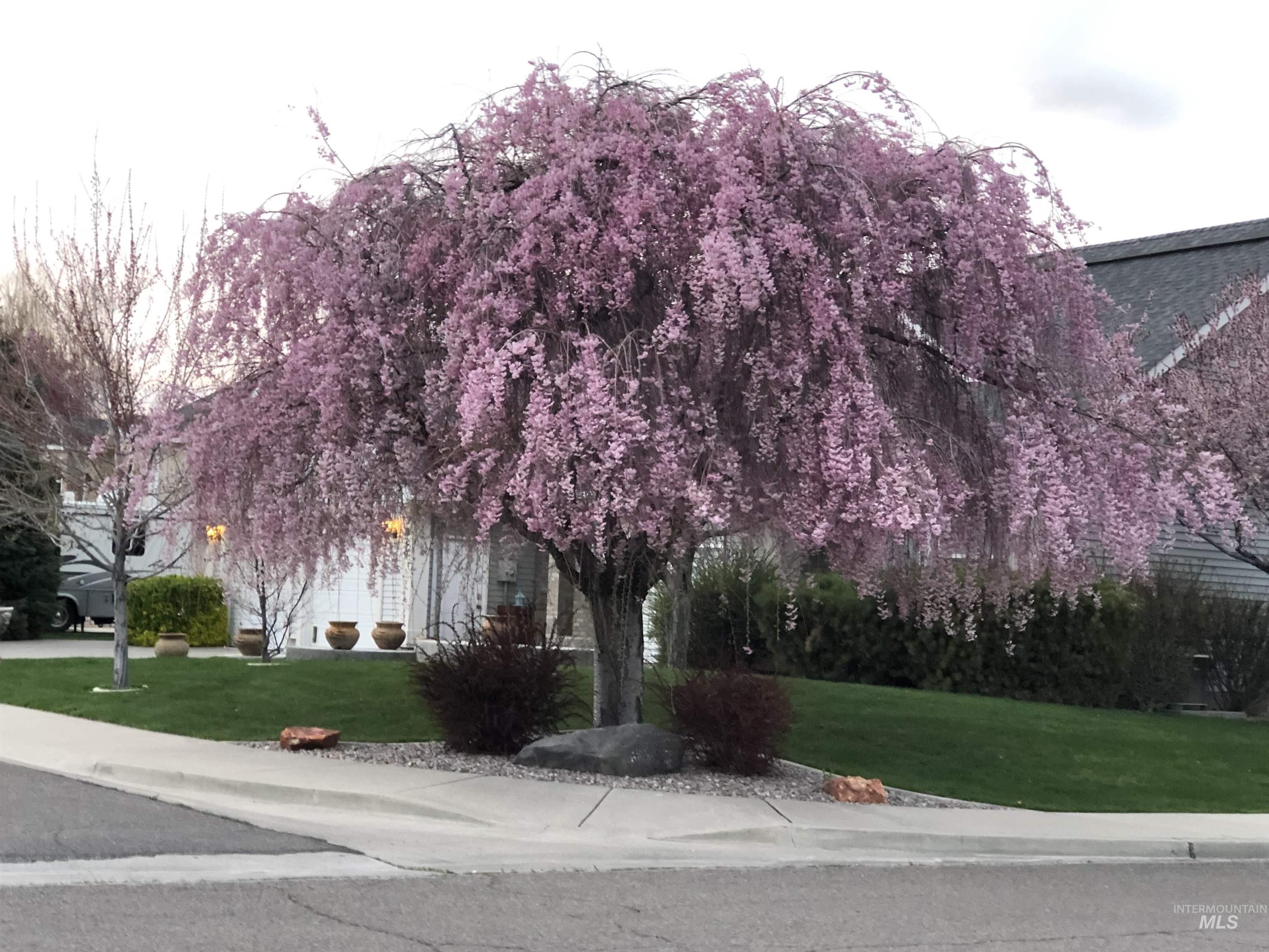 2047 Candlewood Cir, Twin Falls, Idaho 83301, 5 Bedrooms, 3.5 Bathrooms, Residential For Sale, Price $599,000,MLS 98998108