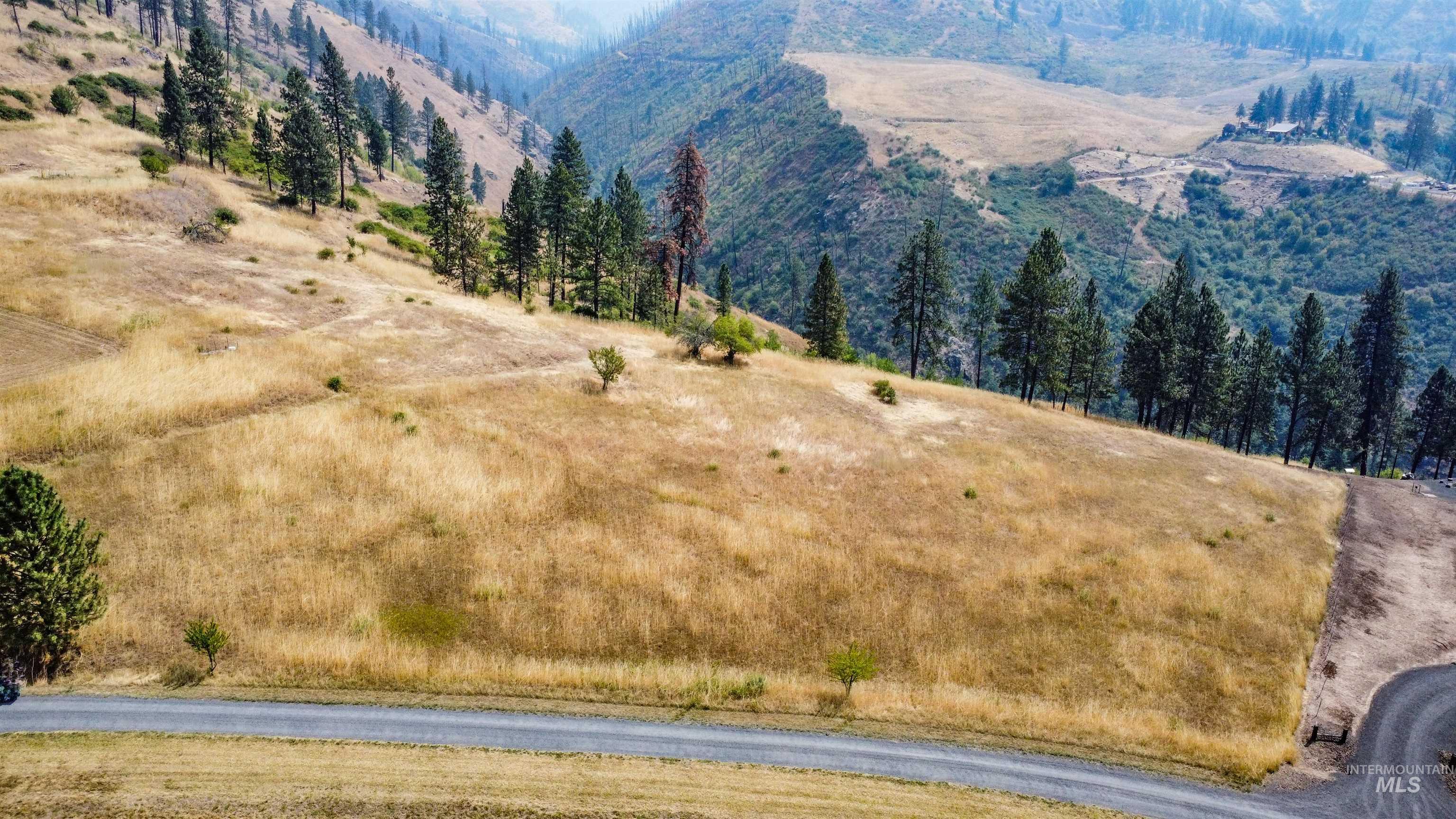 tbd Larradon Dr, Kamiah, Idaho 83536, Land For Sale, Price $124,900,MLS 98998124