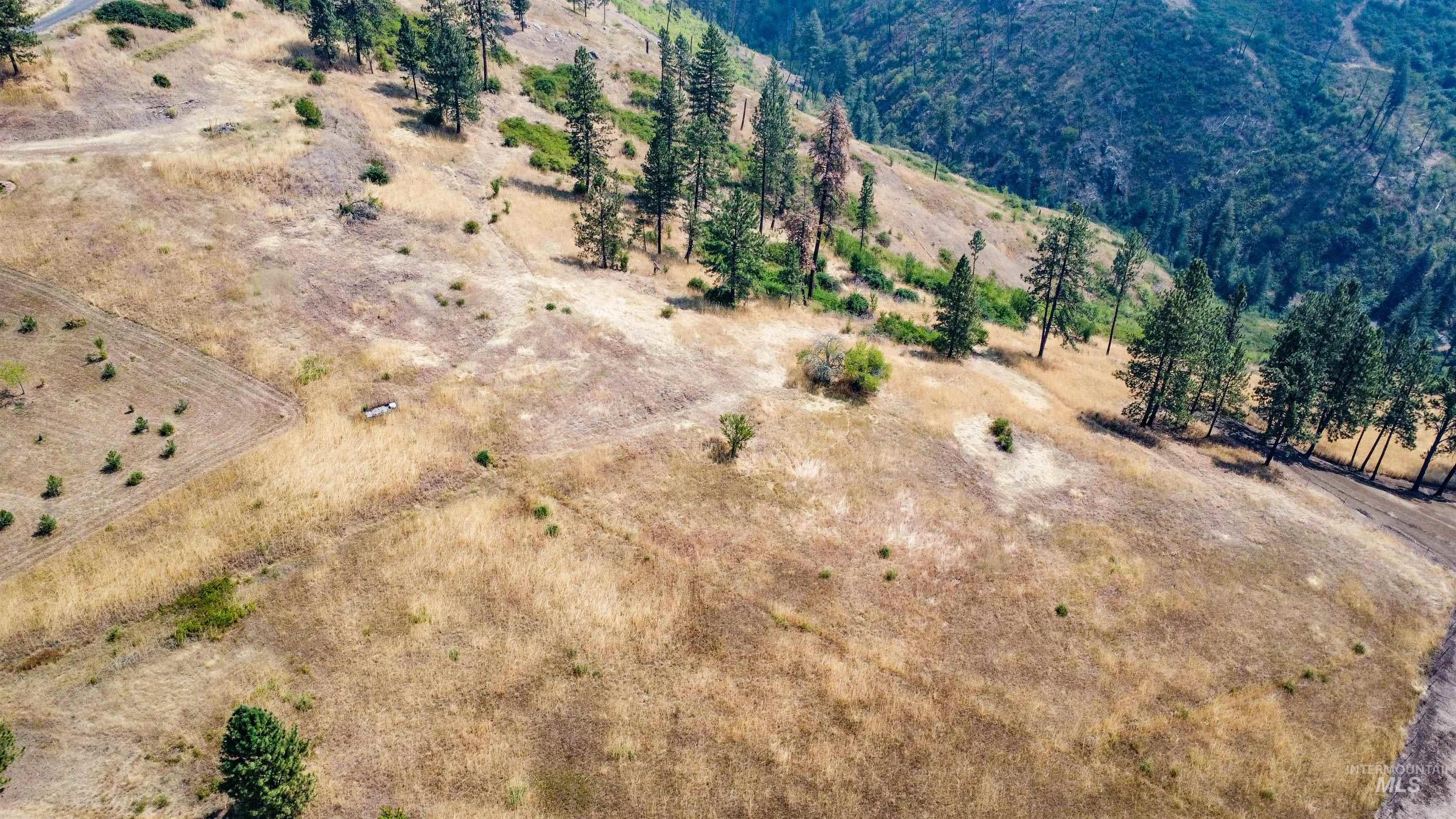 tbd Larradon Dr, Kamiah, Idaho 83536, Land For Sale, Price $124,900,MLS 98998124