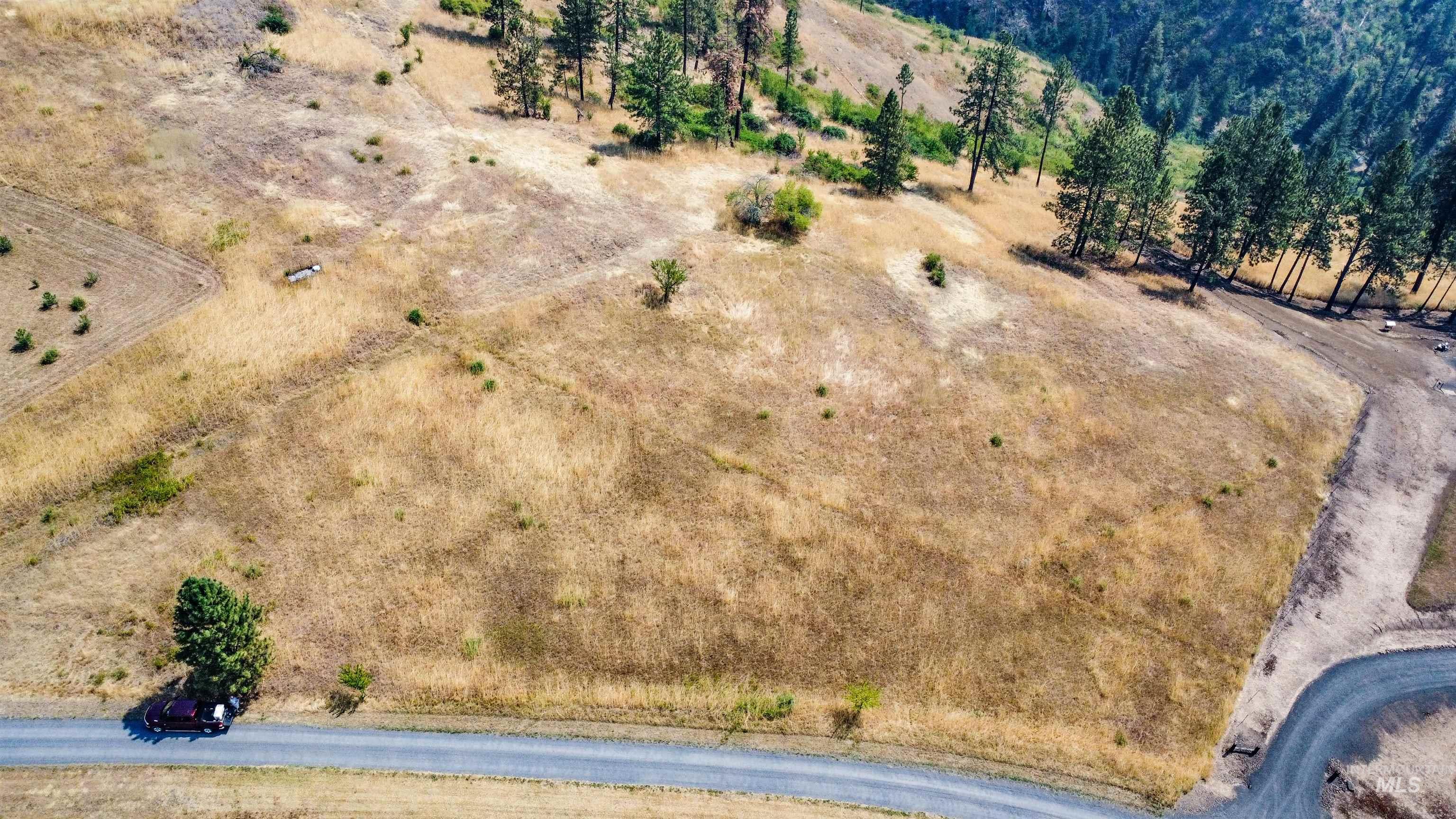 tbd Larradon Dr, Kamiah, Idaho 83536, Land For Sale, Price $124,900,MLS 98998124