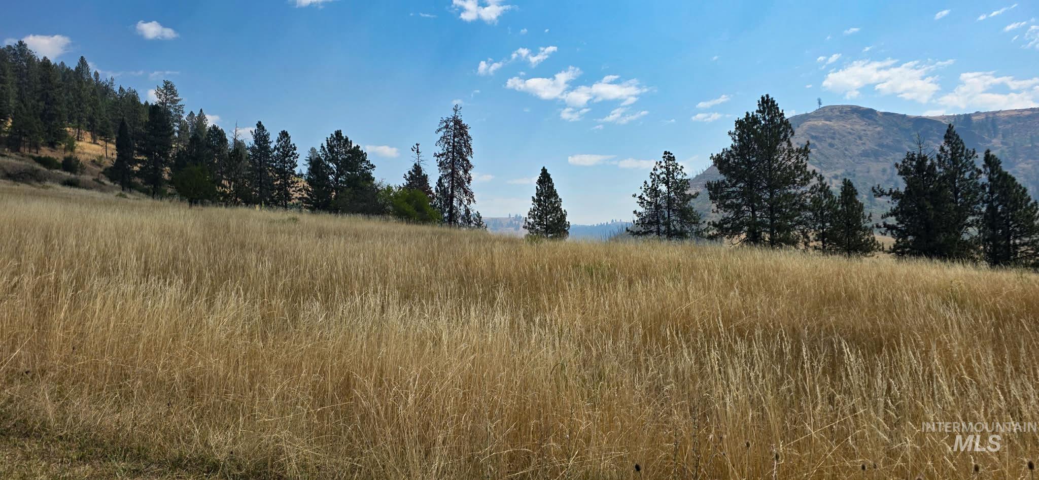 tbd Larradon Dr, Kamiah, Idaho 83536, Land For Sale, Price $124,900,MLS 98998124