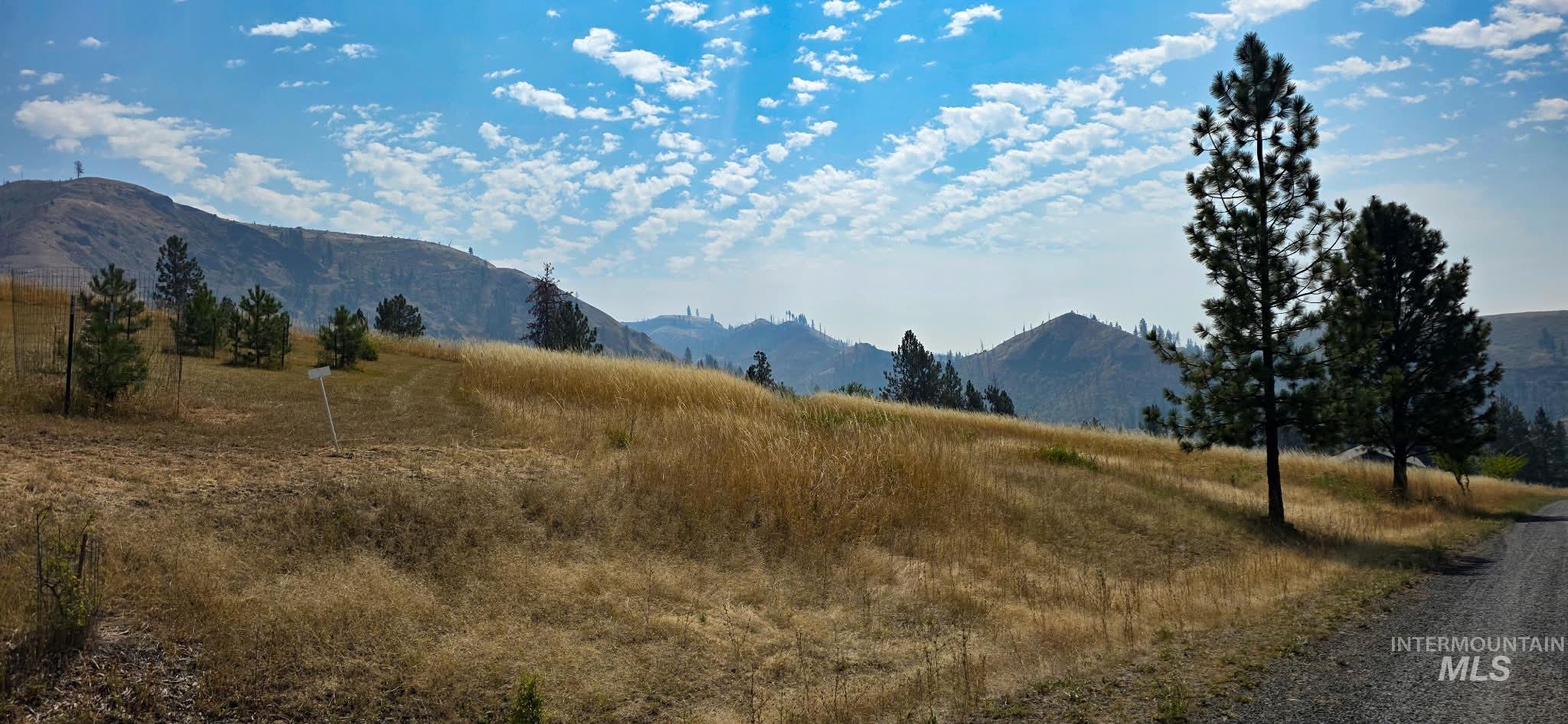 tbd Larradon Dr, Kamiah, Idaho 83536, Land For Sale, Price $124,900,MLS 98998124