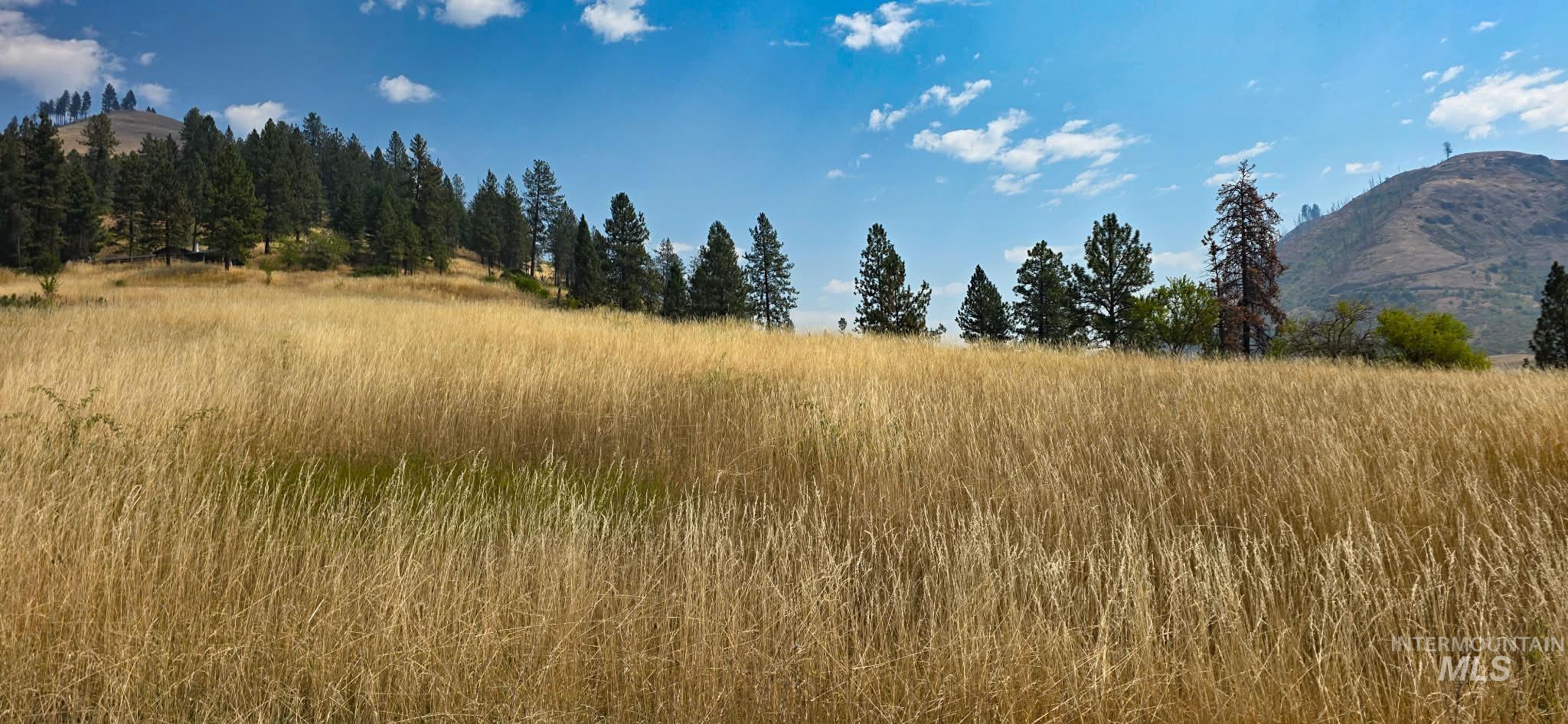 tbd Larradon Dr, Kamiah, Idaho 83536, Land For Sale, Price $124,900,MLS 98998124