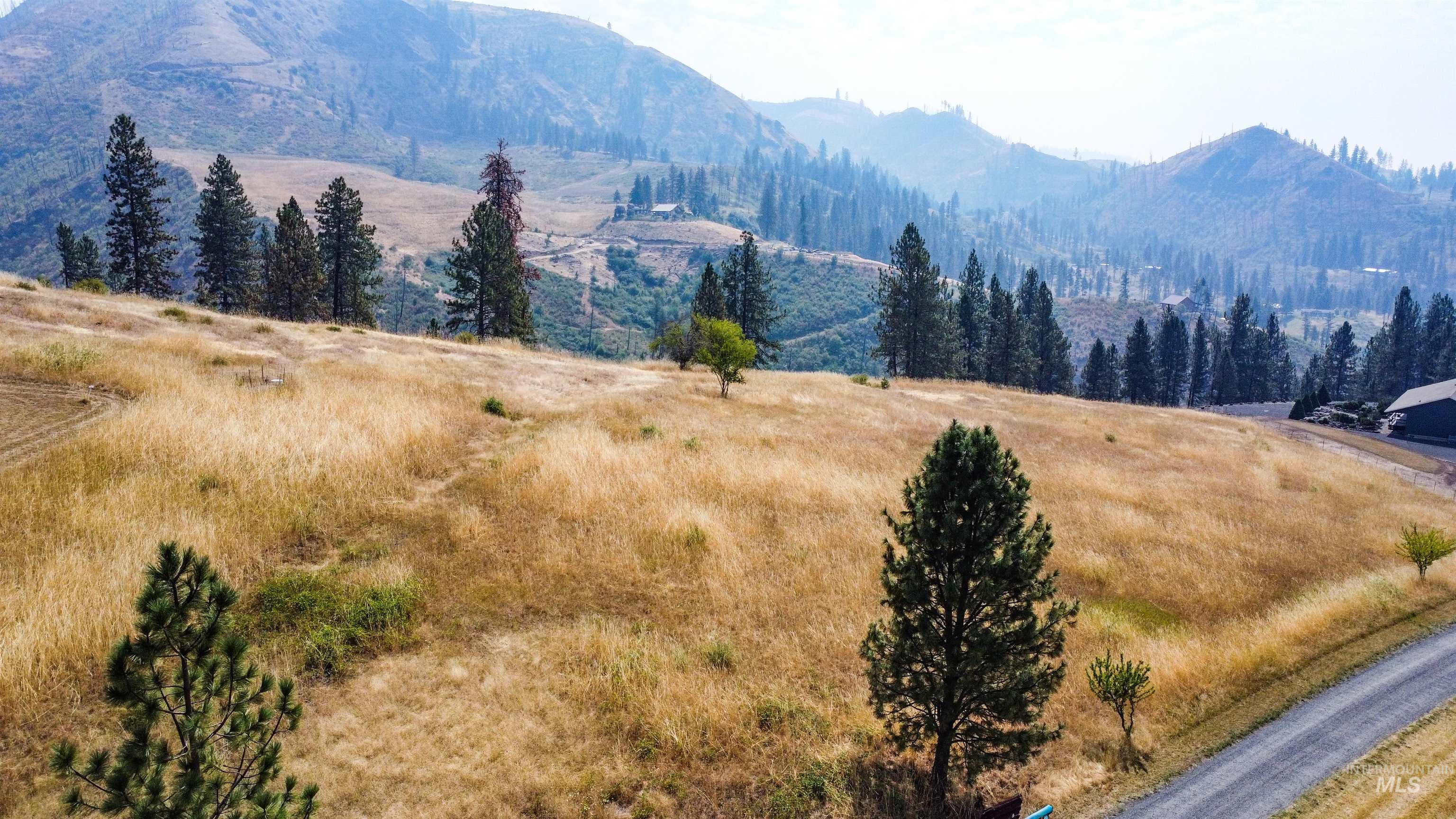 tbd Larradon Dr, Kamiah, Idaho 83536, Land For Sale, Price $124,900,MLS 98998124