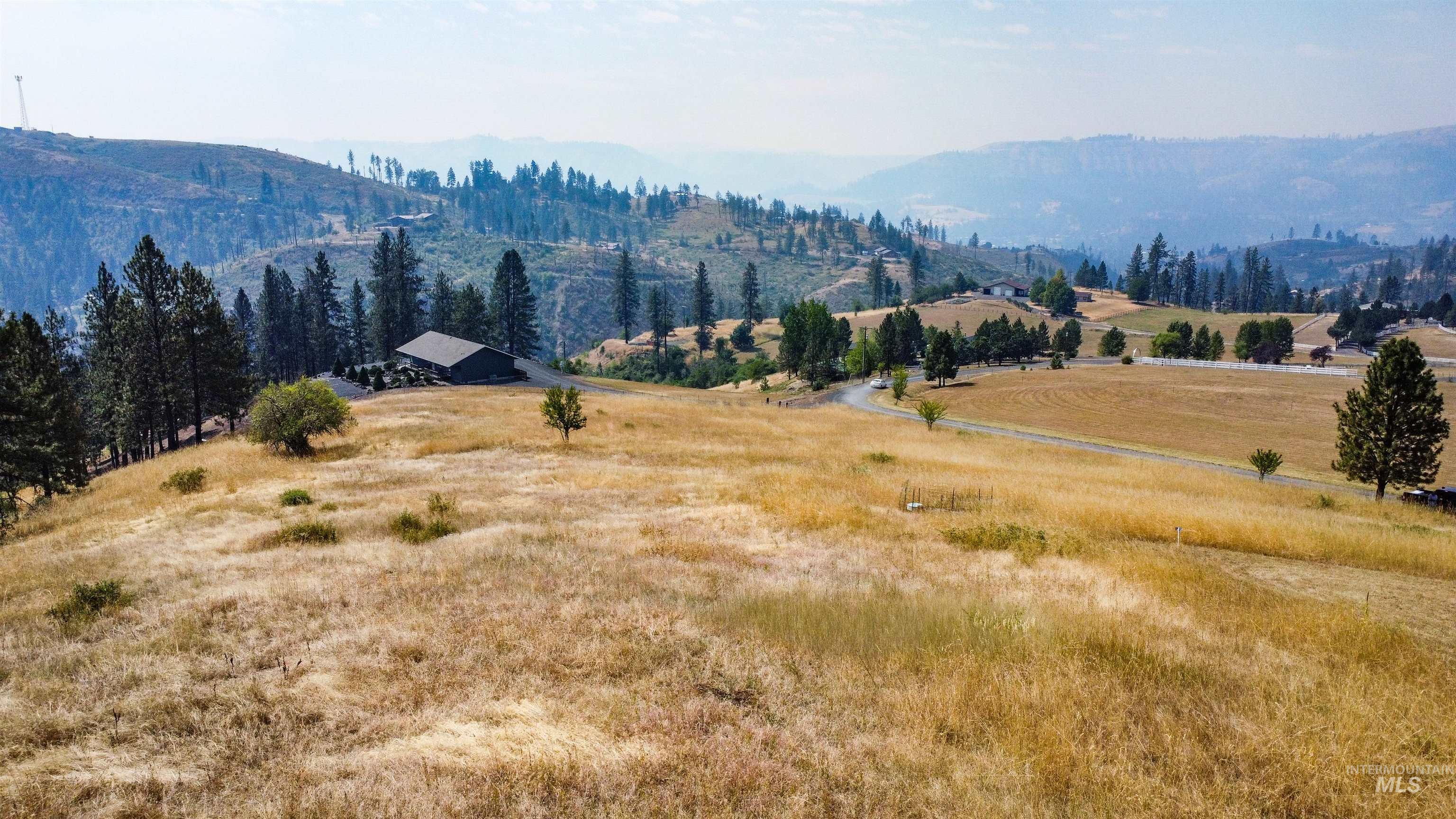tbd Larradon Dr, Kamiah, Idaho 83536, Land For Sale, Price $124,900,MLS 98998124