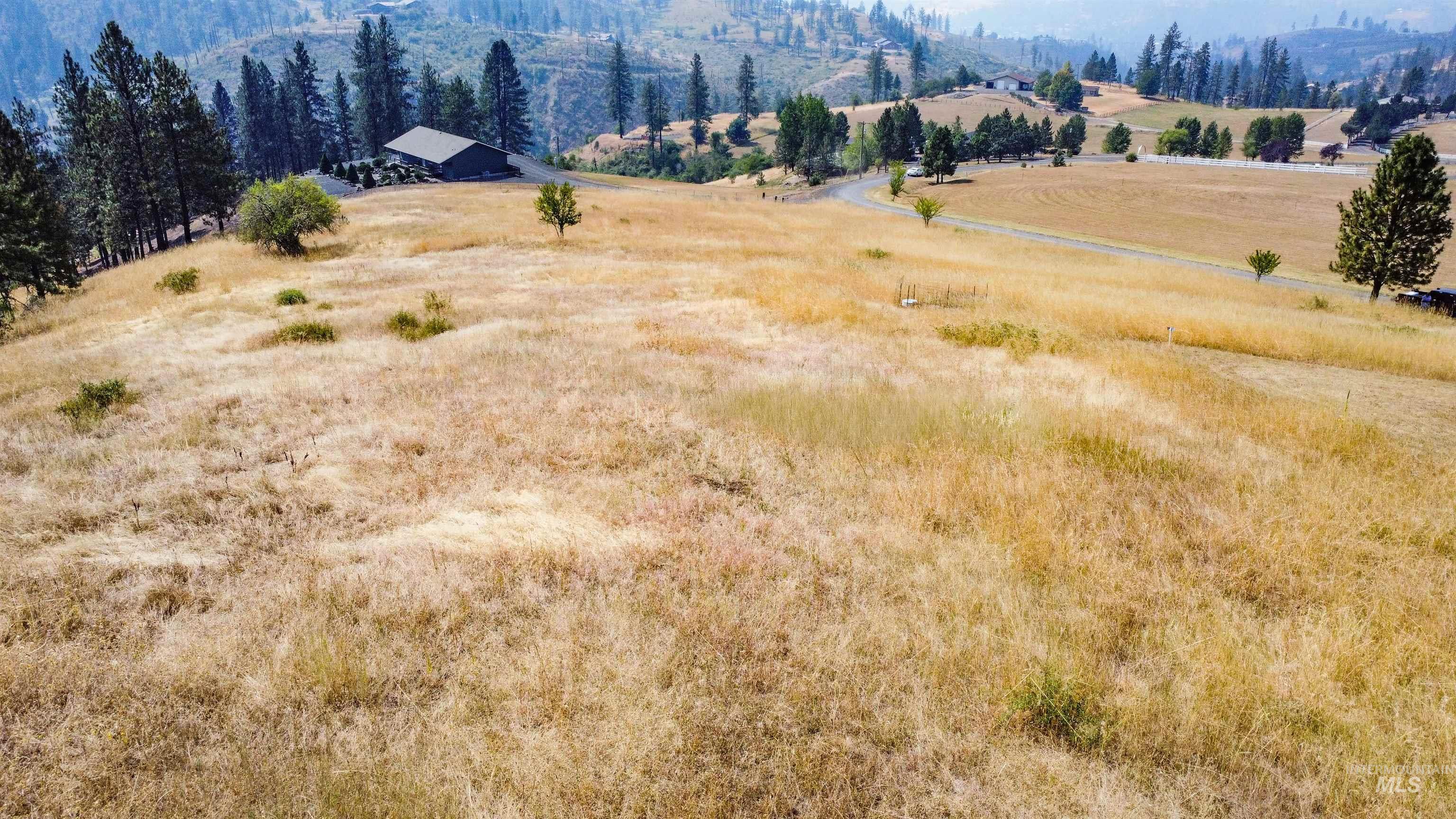 tbd Larradon Dr, Kamiah, Idaho 83536, Land For Sale, Price $124,900,MLS 98998124