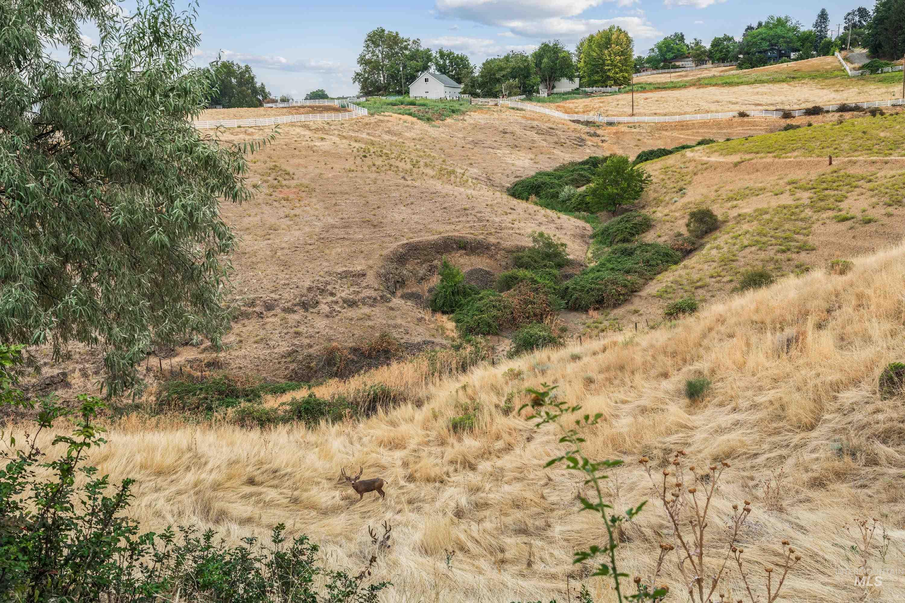 2963 Mayfair Ridge, Lewiston, Idaho 83501, 5 Bedrooms, 3 Bathrooms, Residential For Sale, Price $460,000,MLS 98998173