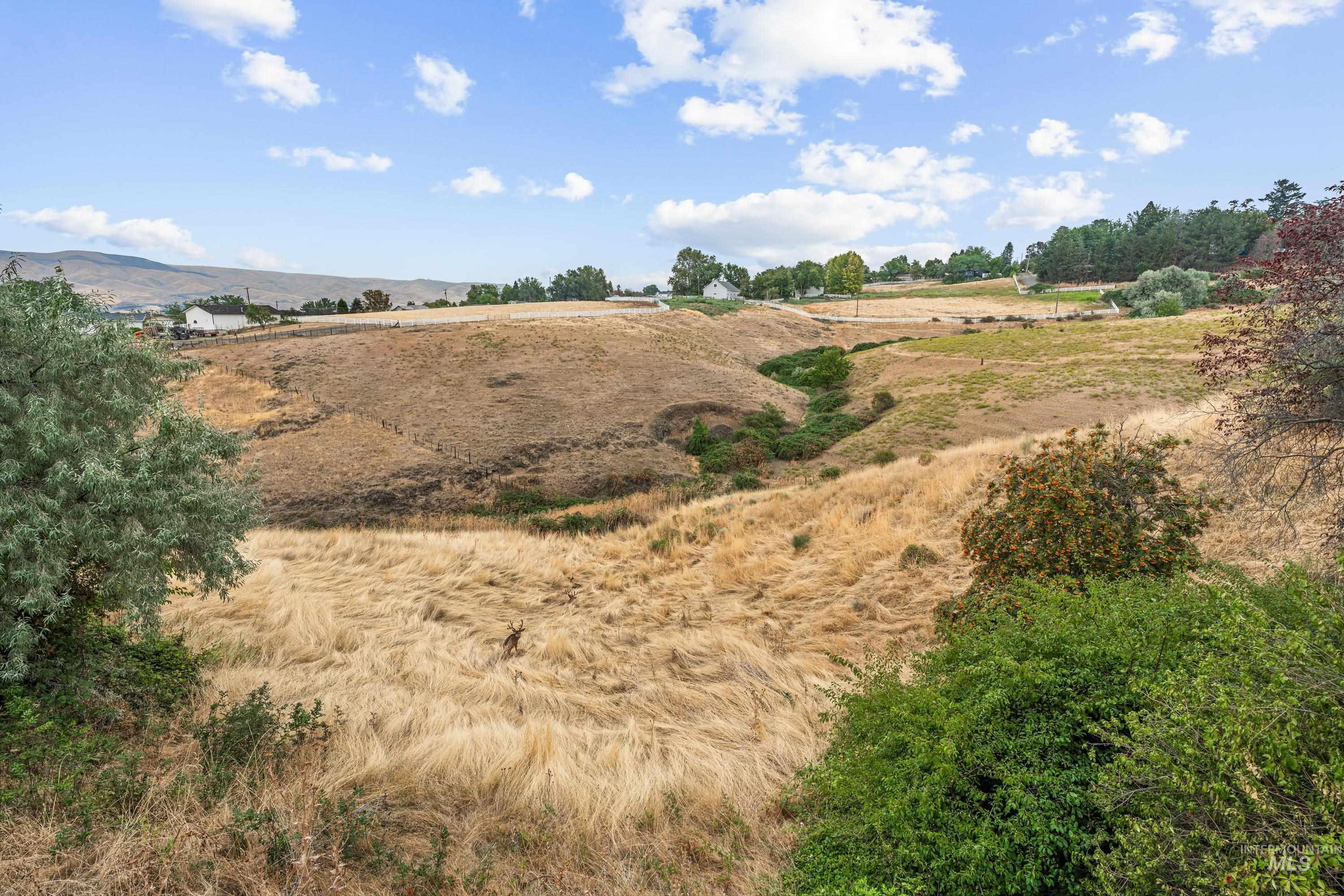 2963 Mayfair Ridge, Lewiston, Idaho 83501, 5 Bedrooms, 3 Bathrooms, Residential For Sale, Price $460,000,MLS 98998173