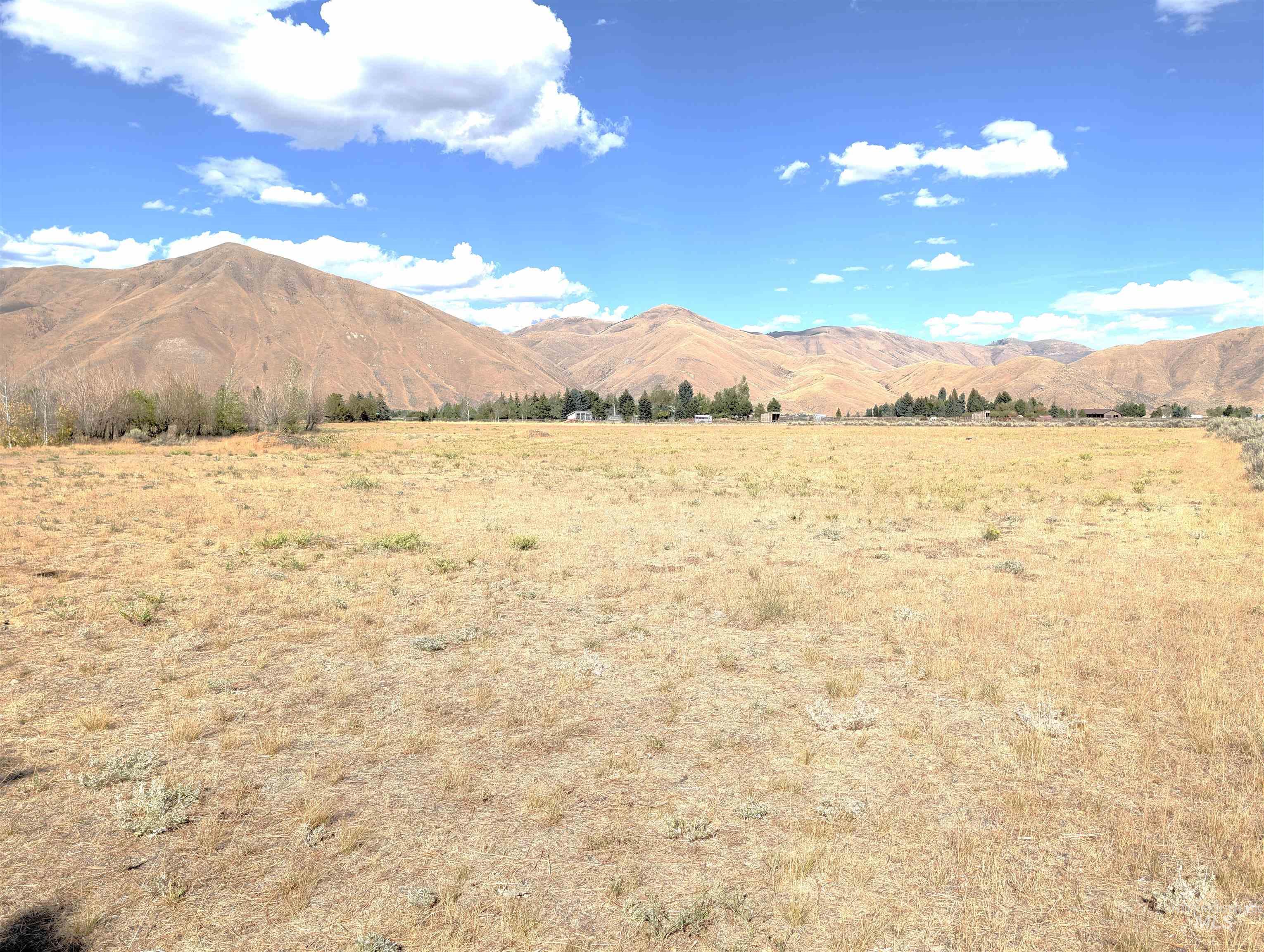 116 Derby Rd, Bellevue, Idaho 83313, 2 Bedrooms, 1 Bathroom, Residential For Sale, Price $499,000,MLS 98998178