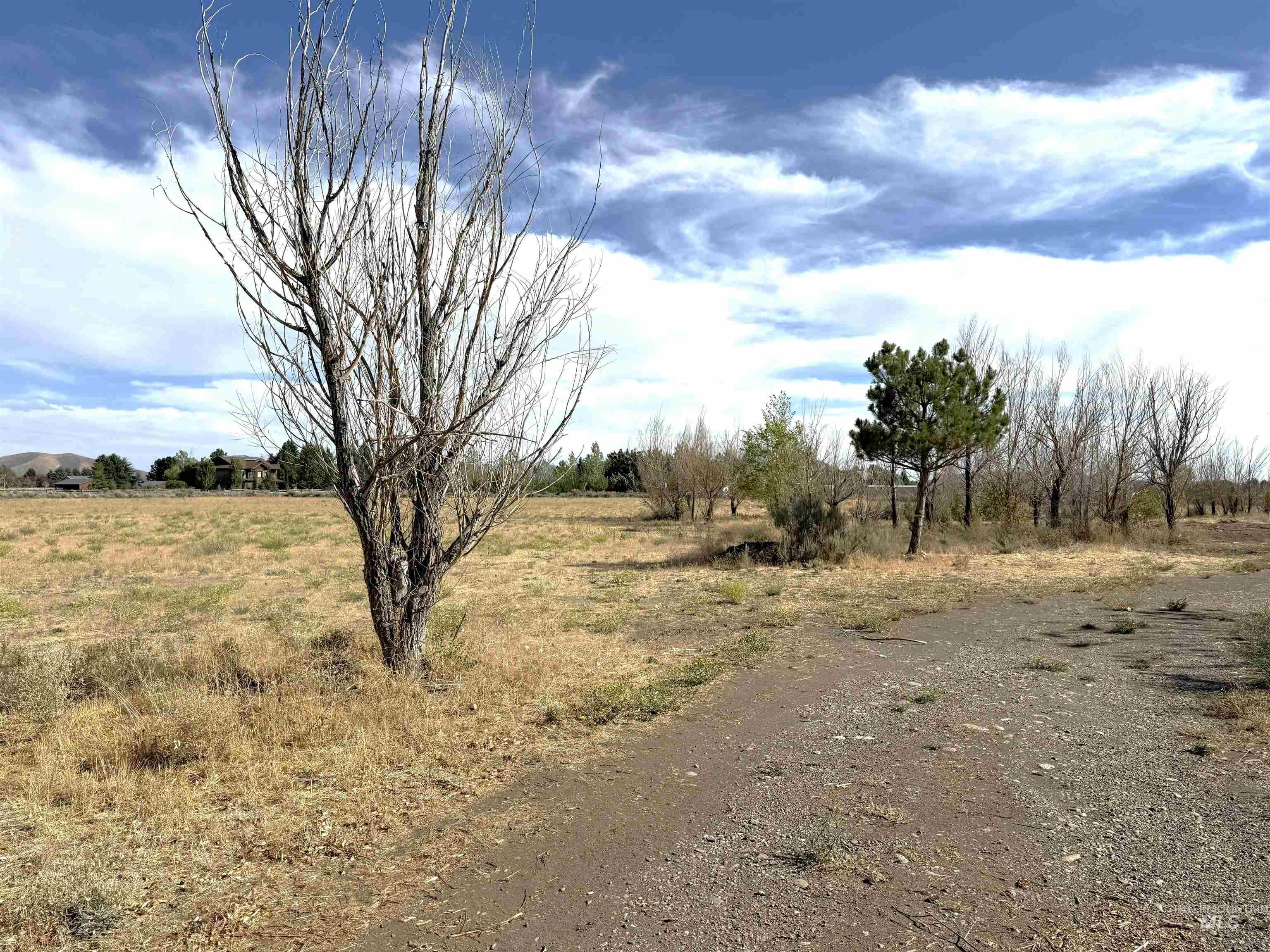 116 Derby Rd, Bellevue, Idaho 83313, 2 Bedrooms, 1 Bathroom, Residential For Sale, Price $499,000,MLS 98998178