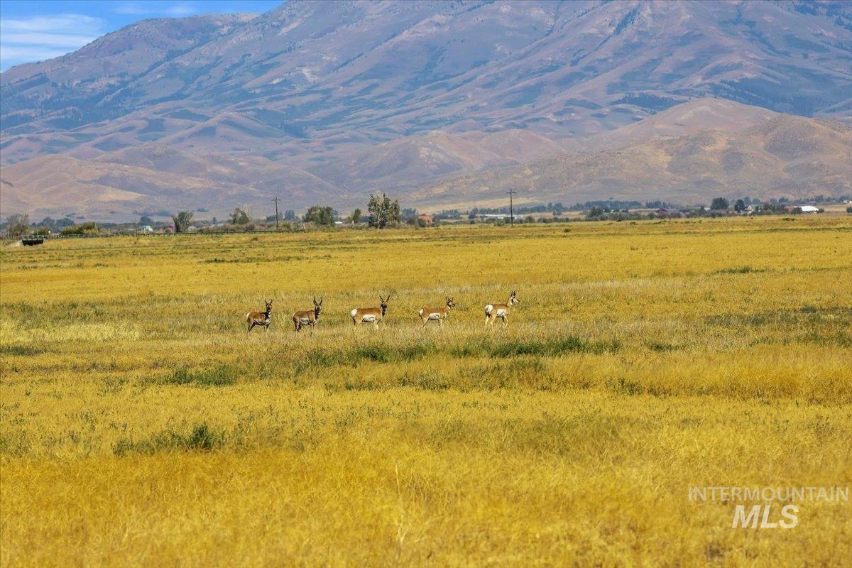 42 E 100 N, Fairfield, Idaho 83327, Land For Sale, Price $175,000, 98998216