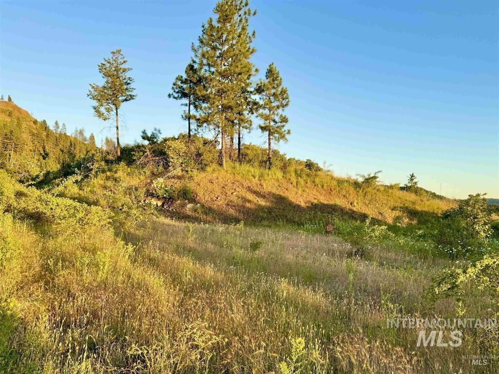 TBD Lot #3 Beaverslide Rd, Kamiah, Idaho 83536, Land For Sale, Price $175,000, 98998291