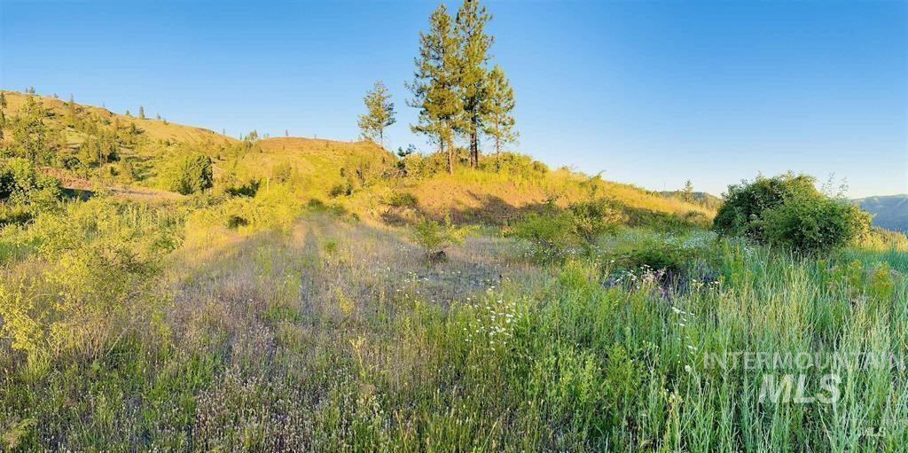 TBD Lot #3 Beaverslide Rd, Kamiah, Idaho 83536, Land For Sale, Price $175,000, 98998291