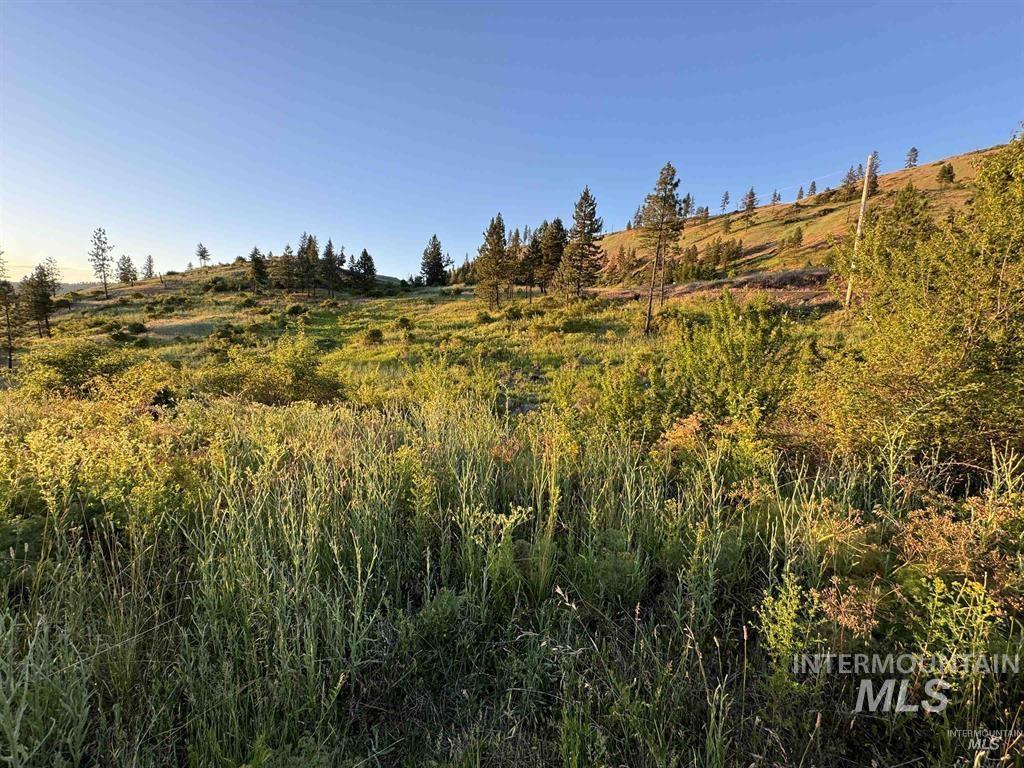 TBD Lot #3 Beaverslide Rd, Kamiah, Idaho 83536, Land For Sale, Price $175,000, 98998291