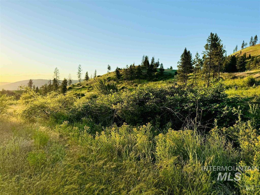 TBD Lot #3 Beaverslide Rd, Kamiah, Idaho 83536, Land For Sale, Price $175,000, 98998291