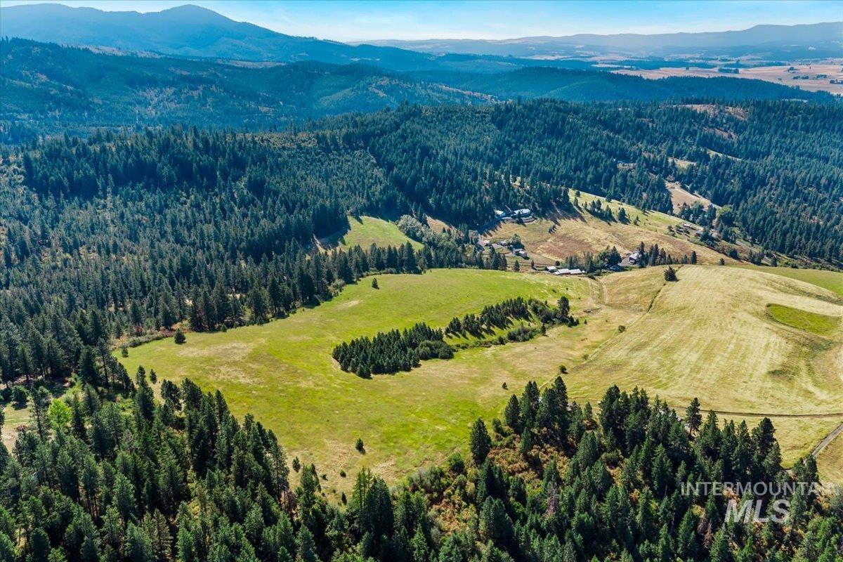 1034 Browns Lane, Potlatch, Idaho 83855, 3 Bedrooms, 1.5 Bathrooms, Residential For Sale, Price $675,000, 98998311