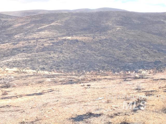 TBD Rock Creek #2, Weiser, Idaho 83672, Land For Sale, Price $1,043,250, 98998384
