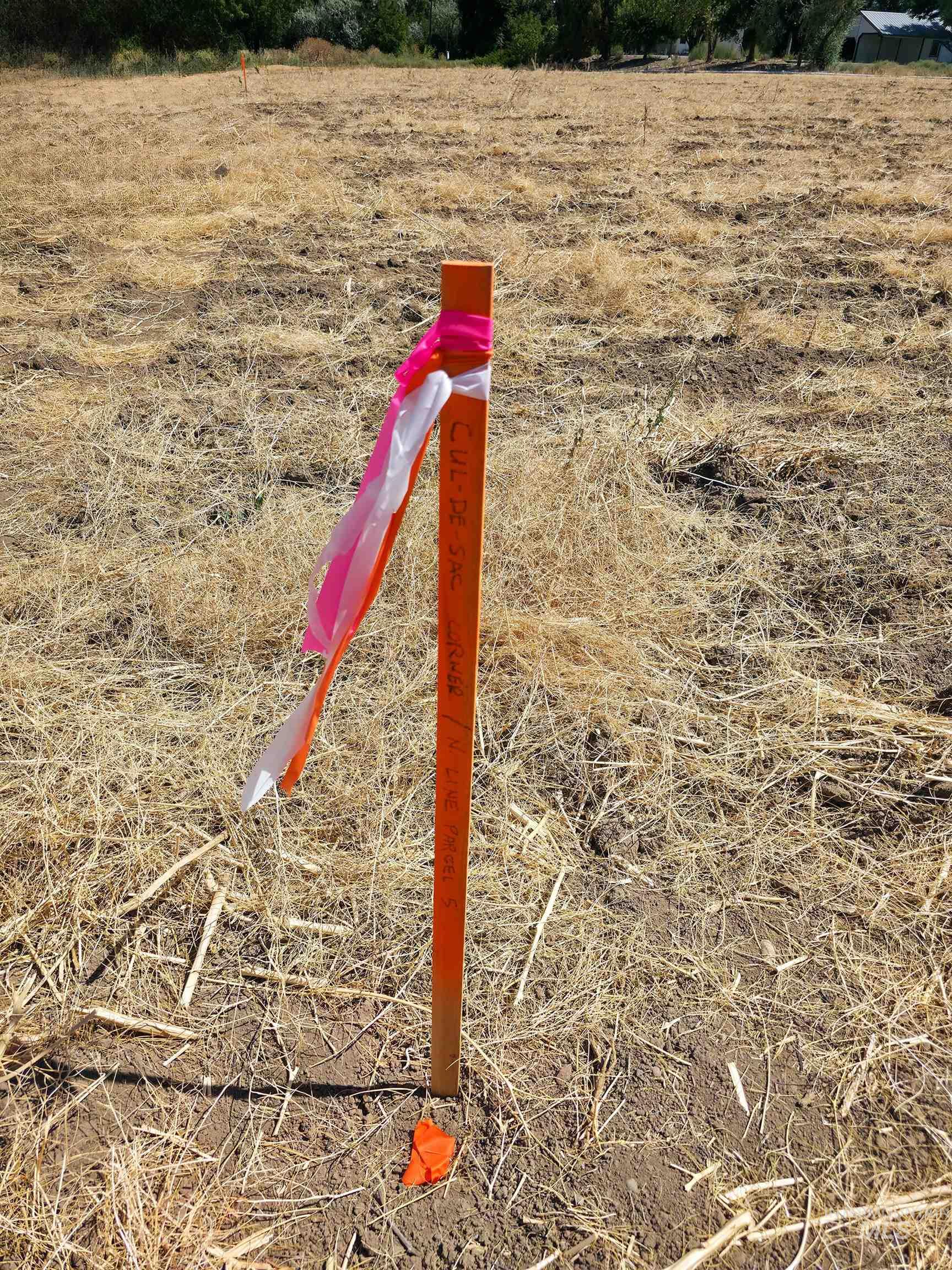 TBD Lot 2 & 5 County Rd 70, Weiser, Idaho 83672, Land For Sale, Price $365,000, 98998393