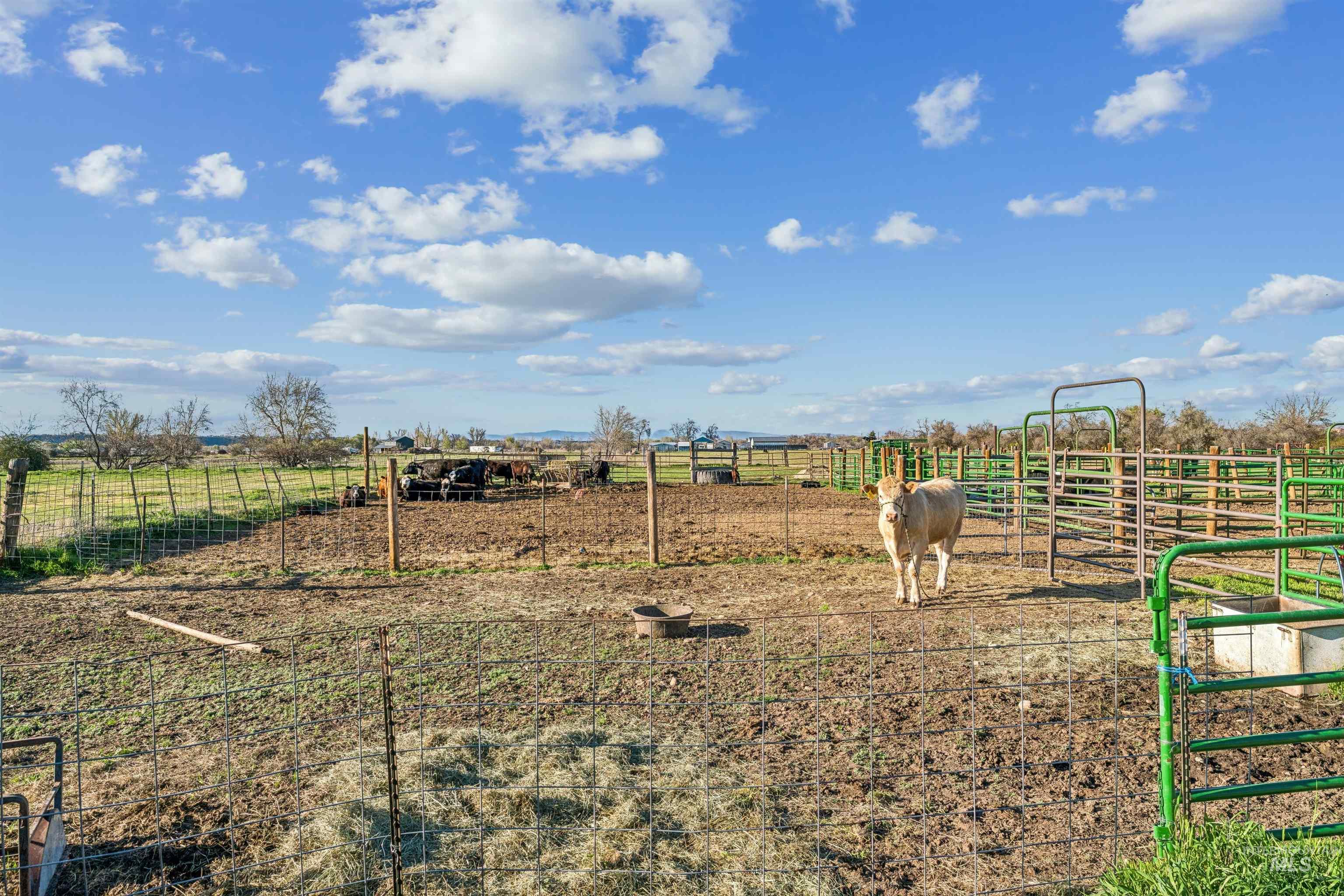 1050 NW 10th Ave, Payette, Idaho 83661, 3 Bedrooms, 2 Bathrooms, Residential For Sale, Price $515,000, 98998428
